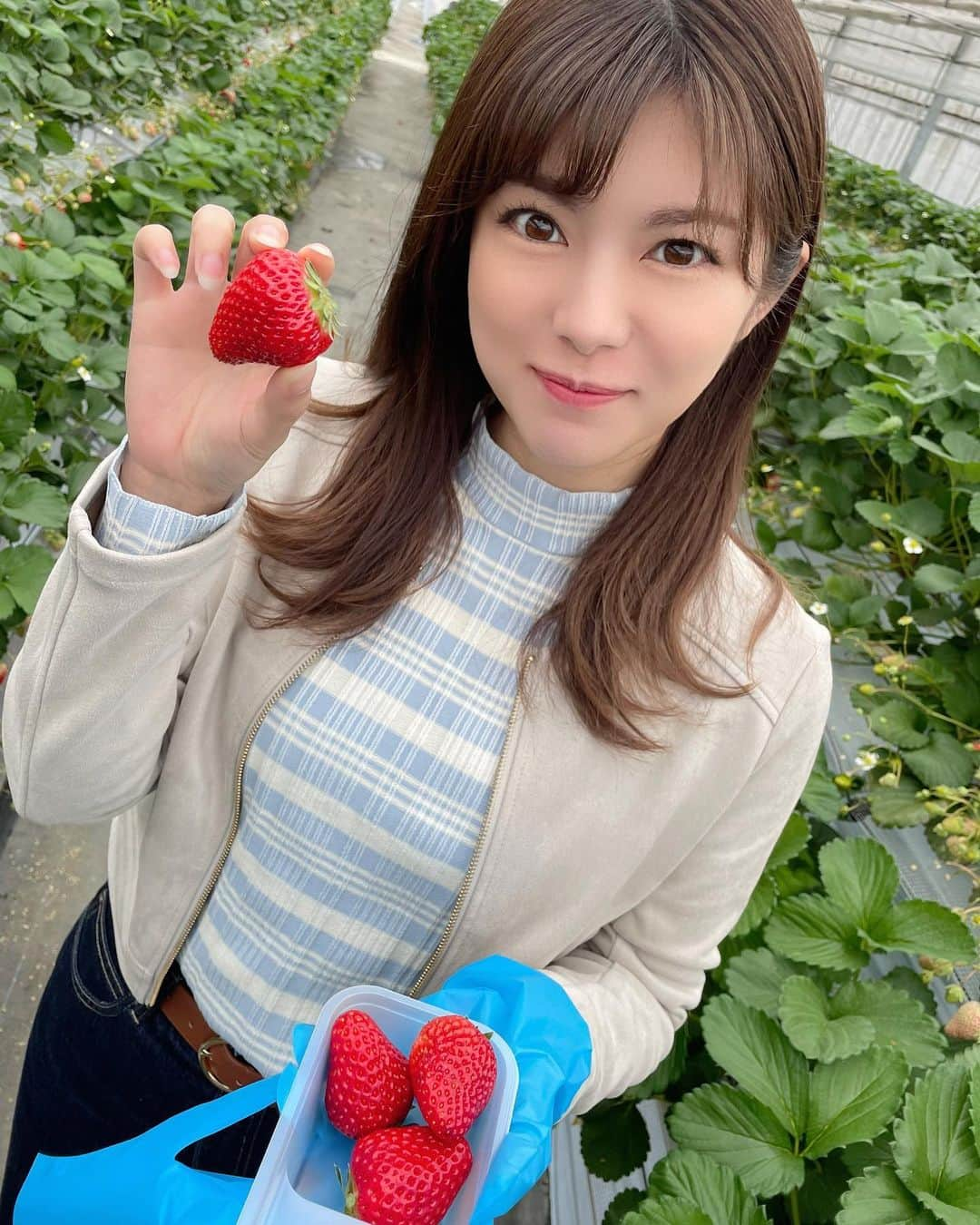 熊林保奈美のインスタグラム：「* . 今年最後であろういちご狩り🍓  初めて知った品種もあって 食べ比べ楽しかった🥰 . . * #いちご狩り #いちご好きにはたまらない #いちごならいくらでも食べられる #モデル #撮影会モデル #ポートレートモデル  #model #サロンモデル  #熊林保奈美 #道産子  #Japanesegirl #instalike #맞팔  #me #followme」