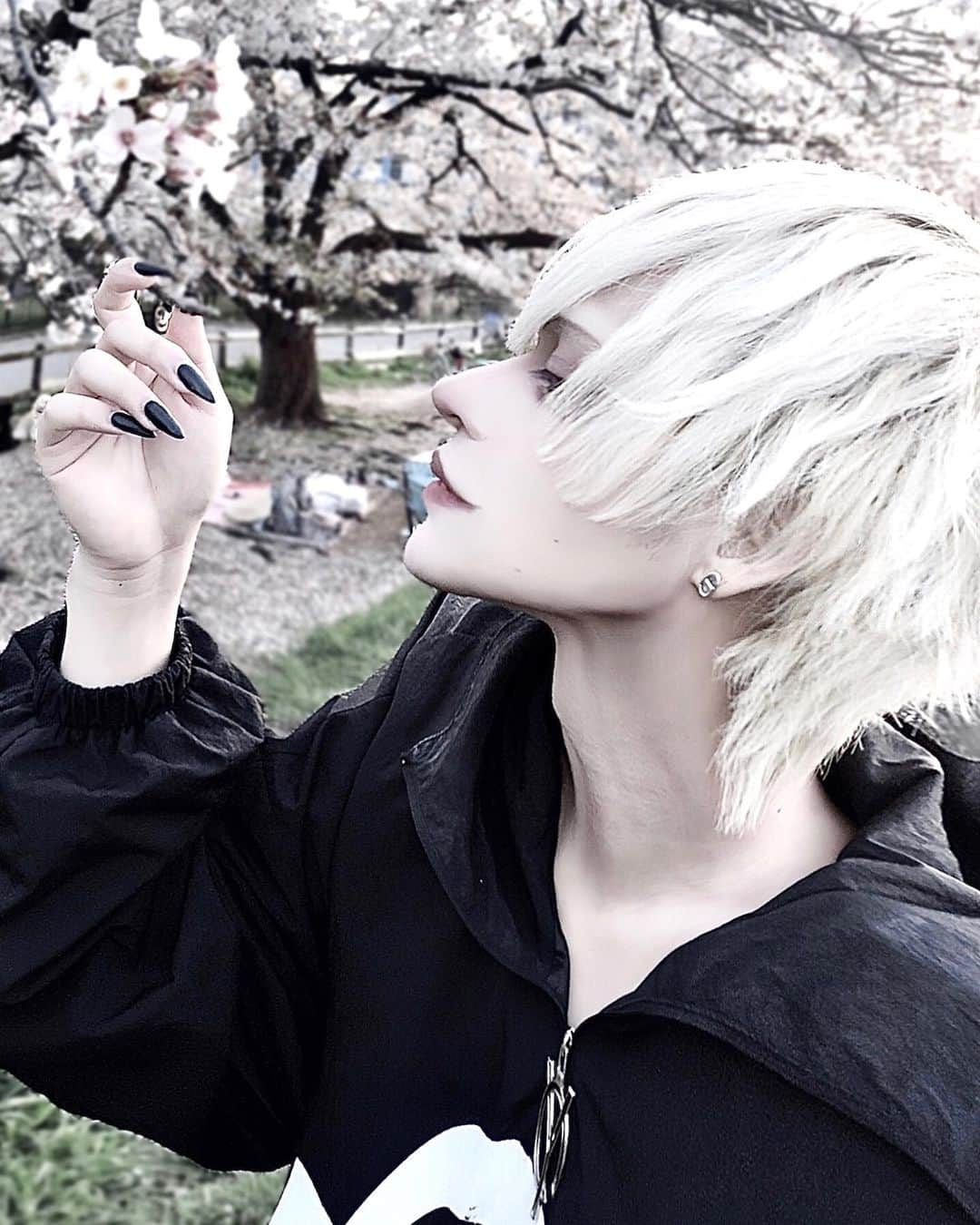 けんじ(けんくん)さんのインスタグラム写真 - (けんじ(けんくん)Instagram)「春も終わり」5月2日 22時23分 - kenkun ...