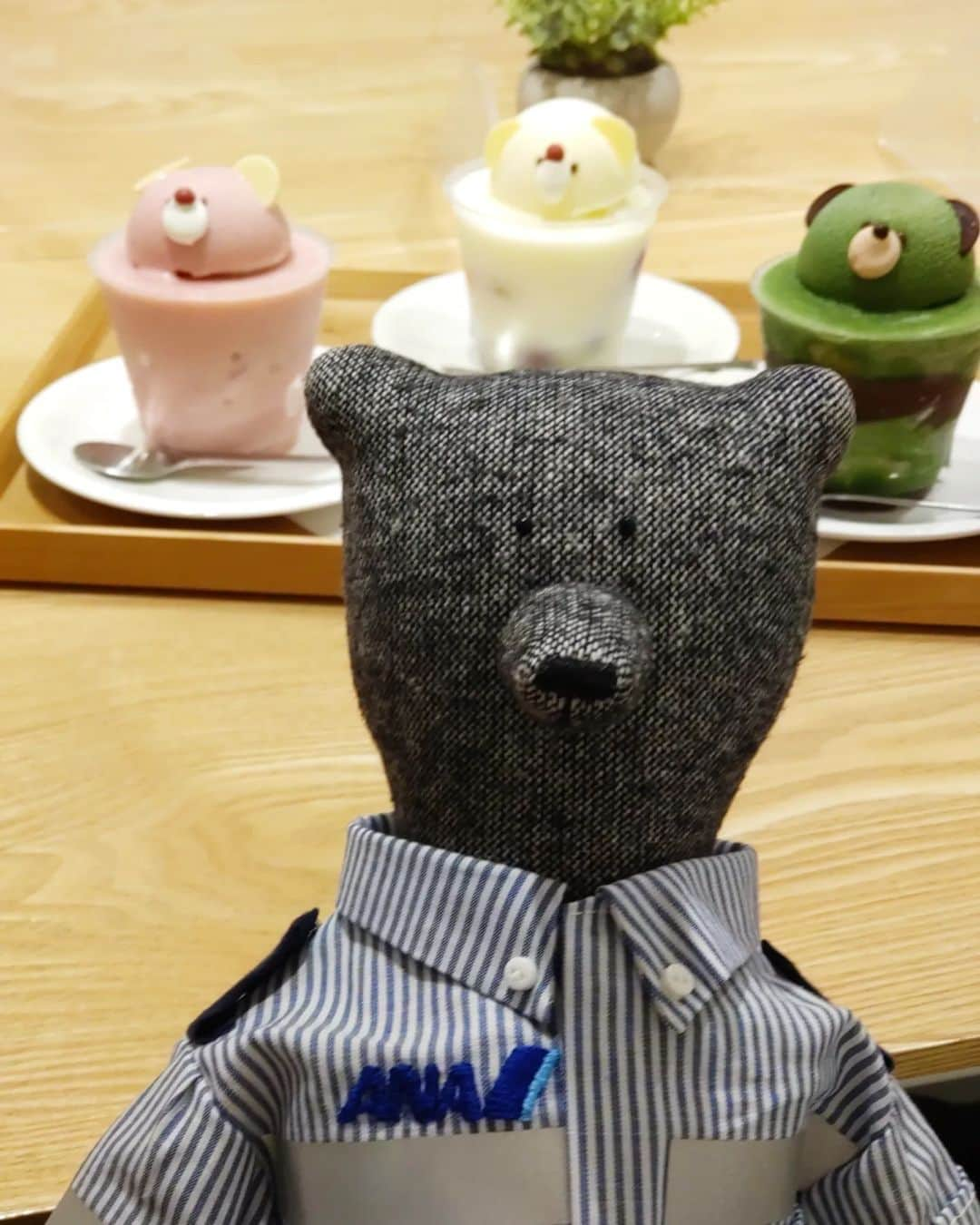 All Nippon Airwaysさんのインスタグラム写真 - (All Nippon AirwaysInstagram)「Having the bear-y best breakfast with some bear-y best friends! What adventures will they have next?  Photo by 📷: @fukueri007  #Regram #FlyANA #AllNipponAirways」5月2日 22時30分 - allnipponairways