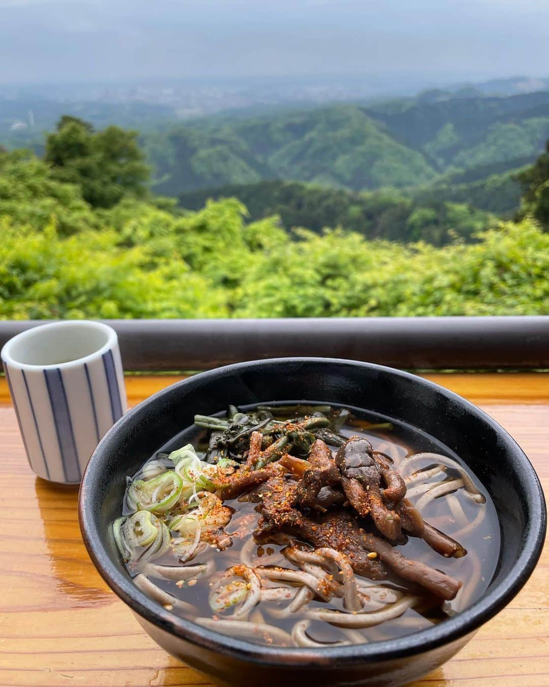 角田聖奈さんのインスタグラム写真 - (角田聖奈Instagram)「先週の高尾山⛰️🍃 やっと暖かくなって新緑がとっても綺麗でした☺️ おだんごで始まりおだんごで終わる🍡🍡🍜🍡 今年は何回登るかな？笑   ウェアは @lyftwomen @lyft.official 🤍  #高尾山 #高尾山グルメ #高尾山薬王院 #新緑 #自然 #ハイキング #食べ歩き #おだんご #お蕎麦 #カーボアップ #美尻トレーニング #レギンス #普段着 #健康美 #ライフスタイル #パーソナルトレーナー #栄養士 #東京」5月2日 22時46分 - seina1105