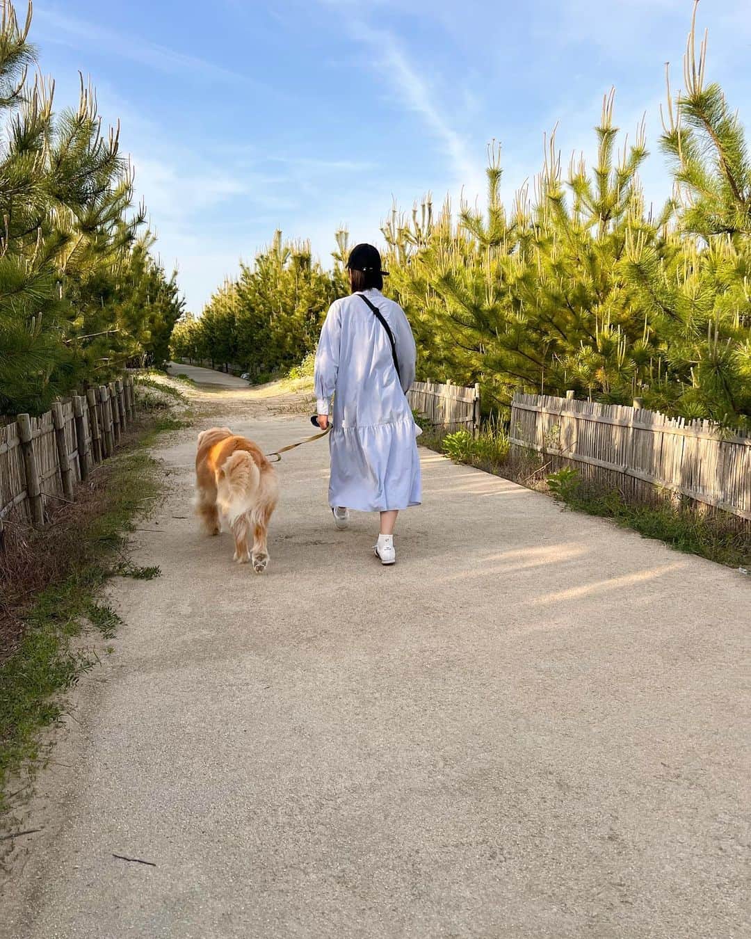 今田美奈さんのインスタグラム写真 - (今田美奈Instagram)「_ _ 楽しい楽しい海散歩〜🎶🏖🦮」5月2日 22時51分 - _minaimd.j_