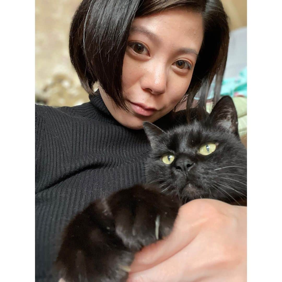 桜木梨奈さんのインスタグラム写真 - (桜木梨奈Instagram)「うちの子が1番可愛い♡  ショコラの記録  #cat ♡ #blackcat ♡」5月2日 22時58分 - rina_sakuragi