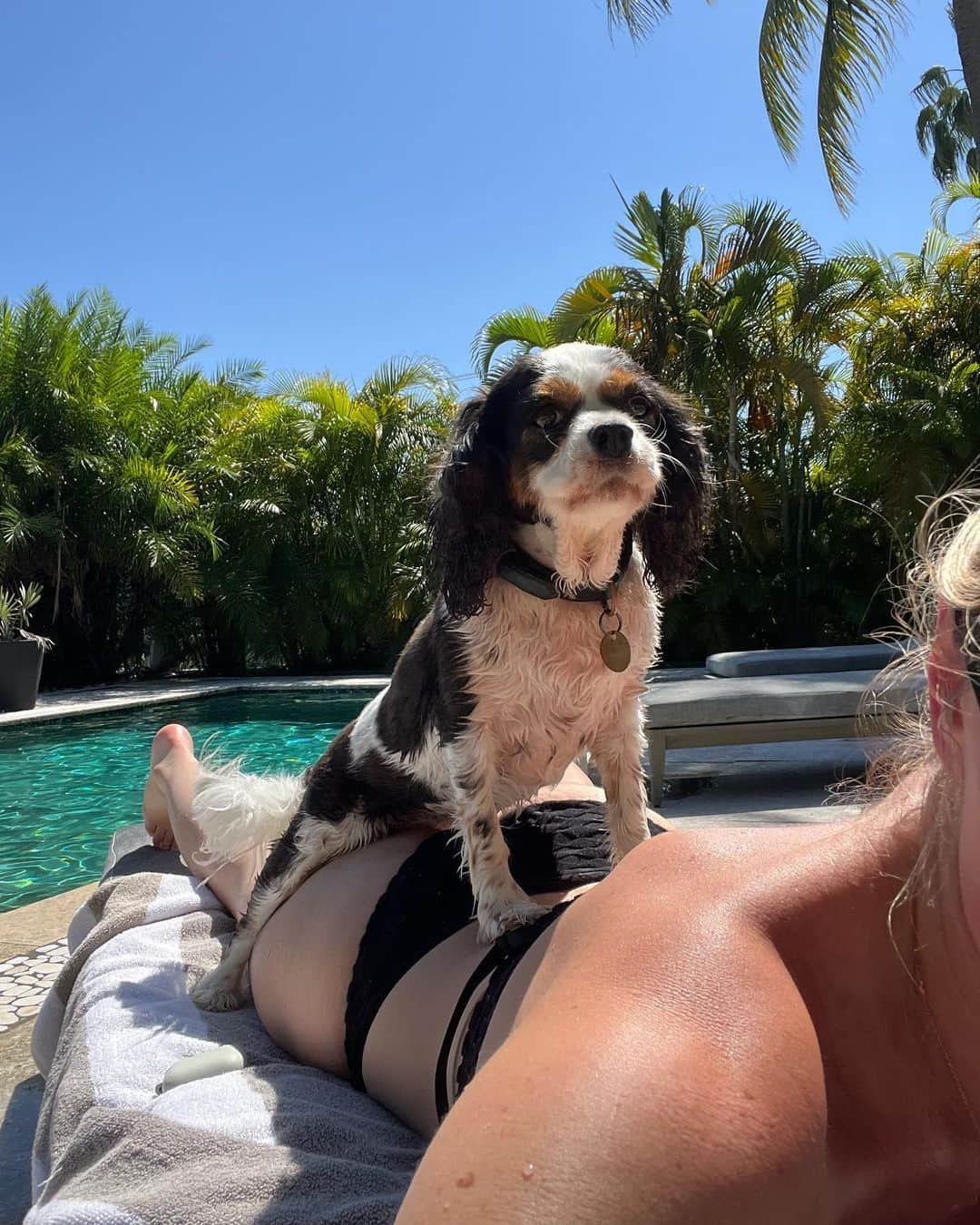 リンゼイ・ボンさんのインスタグラム写真 - (リンゼイ・ボンInstagram)「Gonna have some interesting tan lines 🤣   #familytime」5月2日 23時08分 - lindseyvonn