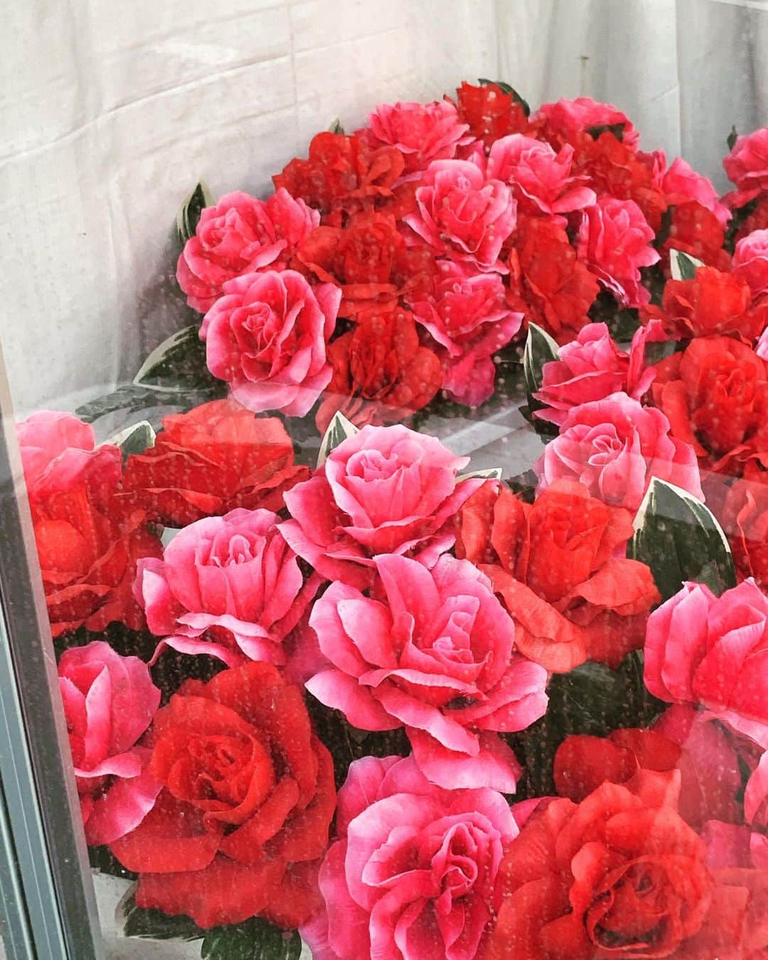 のインスタグラム：「#花壇ウォッチャー は造花も範囲内」