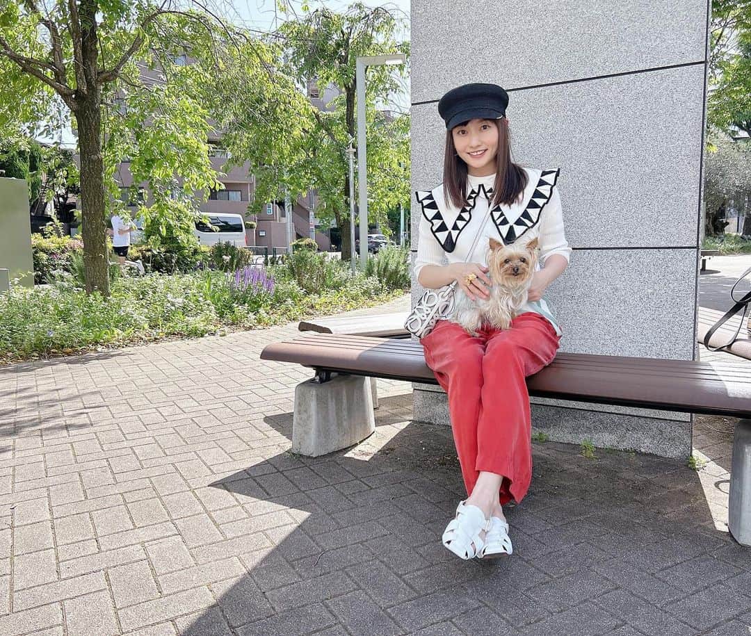 島本真衣さんのインスタグラム写真 - (島本真衣Instagram)「皆さんはゴールデンウィーク、どうお過ごしですか？  最近歩いているとキレイなバラや咲き始めのアジサイを沢山見かけます🤍 半袖&帽子で過ごす日も増えてきました。明日も東京は晴れの予報ですね☀️ 素敵な一日になりますように🍀  #バラ #あじさい #晴れ  #犬 #犬のいる暮らし  #テレビ朝日 #アナウンサー #島本真衣 #私服 #帽子  #おやすみなさい」5月2日 23時18分 - mai_shimamoto_ex