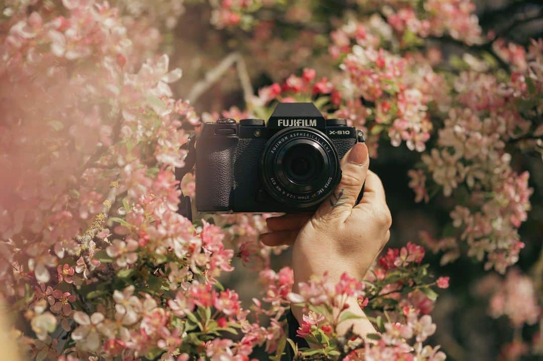 Fujifilm UKのインスタグラム：「What is on your photography bucket list this spring? 👀  Share with us in the comments 👇  📸: @darciejudson  #FUJIFILMXS10」