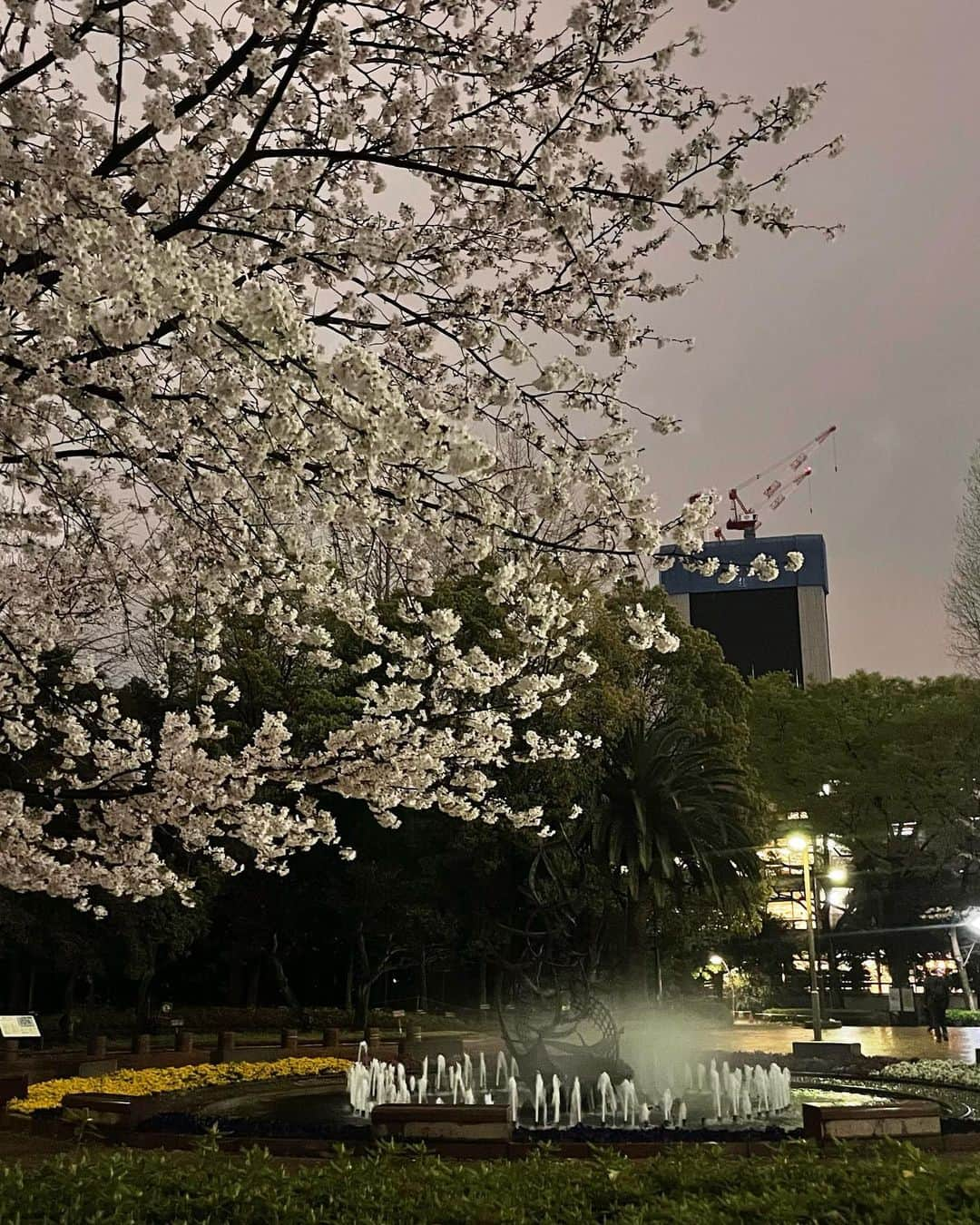 大峰ユリホさんのインスタグラム写真 - (大峰ユリホInstagram)「🌸」5月3日 0時01分 - lespros_yuriho