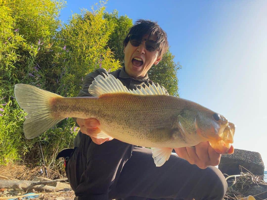 のインスタグラム：「淀川リハビリ釣行‼️  ええやんかぁ‼️  #RYUGI #リュウギ #Megabass #メガバス #x_metal #bigfish1983 #bigfish #hungrybear #glitchoil  #MAGBITE #fishing #bassfishing #釣り #バス釣り #バスフィッシング #lurefishing #happy #淀川番長 #ええやんかぁ #ええやんかぁの輪」