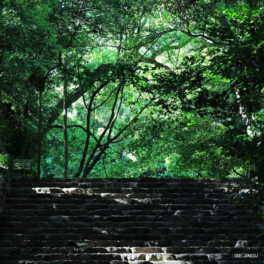 伊勢神宮さんのインスタグラム写真 - (伊勢神宮Instagram)「#伊勢神宮 #神宮 #神社 #心のふるさと #倭姫宮 #別宮 #神宮125社 #isejingu #jingu #soul_of_japan #japan #jinja #shinto #Yamatohime_no_miya #Freshgreen」5月3日 11時00分 - isejingu.official