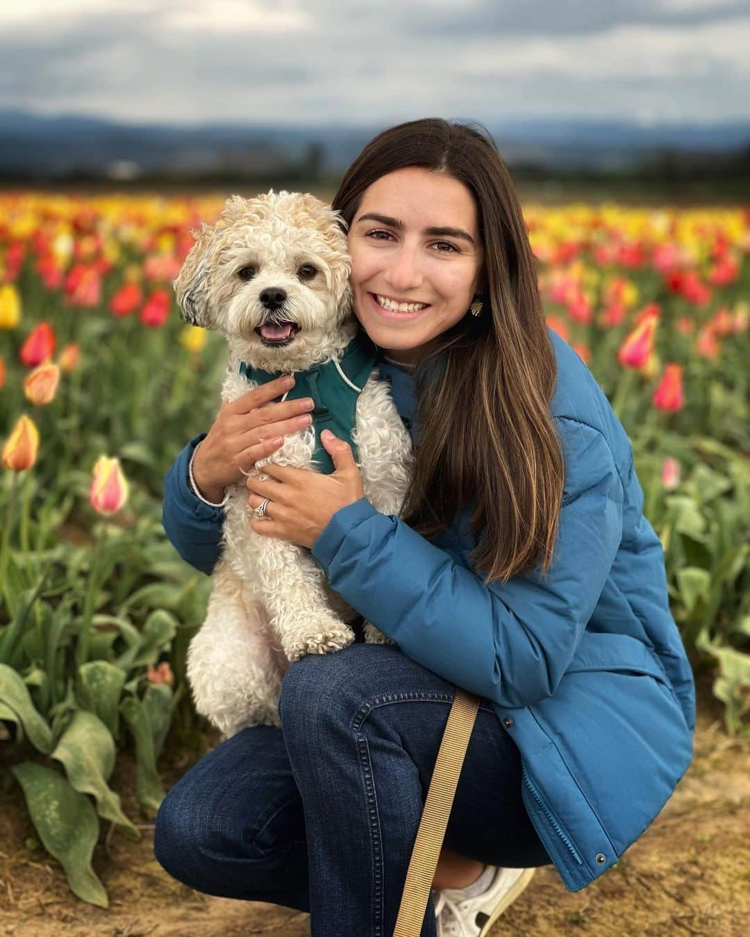 マリッサ・キャステリさんのインスタグラム写真 - (マリッサ・キャステリInstagram)「Tulips with Mosby 😍」5月3日 11時09分 - marissacastelli