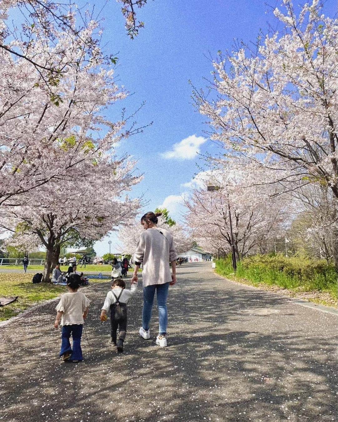山本夢さんのインスタグラム写真 - (山本夢Instagram)「.  5月！ ゴールデンウィークやのに 今更やけど 下書きに保存だけして 満足してた笑 今年唯一出来た きゃわわズ達との お花見投稿🌸  桜は美しいまま散るから 良いですねって。 確かに。 その儚さもまた 良いのかなぁ。  来年もまたこうして 好きな人達と一緒に 好きな桜見たい。  #桜 #お花見 #の投稿を5月にする #世間はゴールデンウィーク  #gw」5月3日 11時15分 - yume_yamamoto_ue