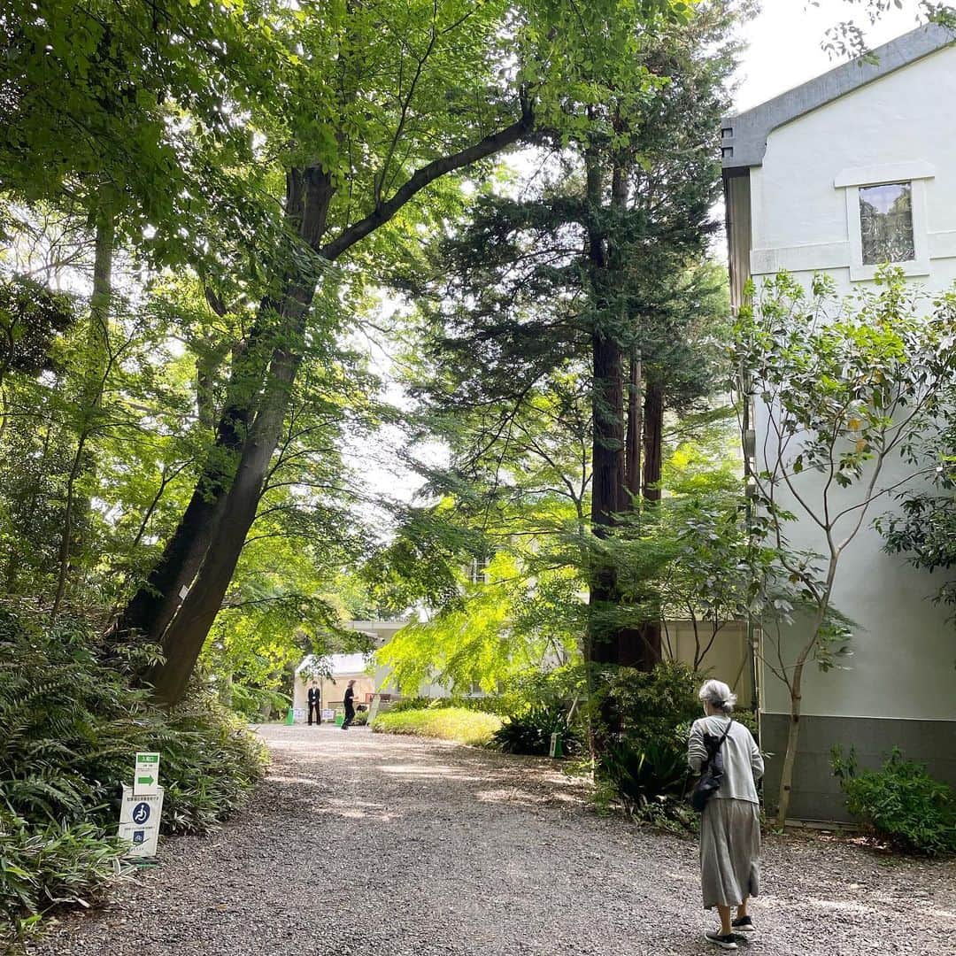 ERIのインスタグラム：「🥷観にきました」