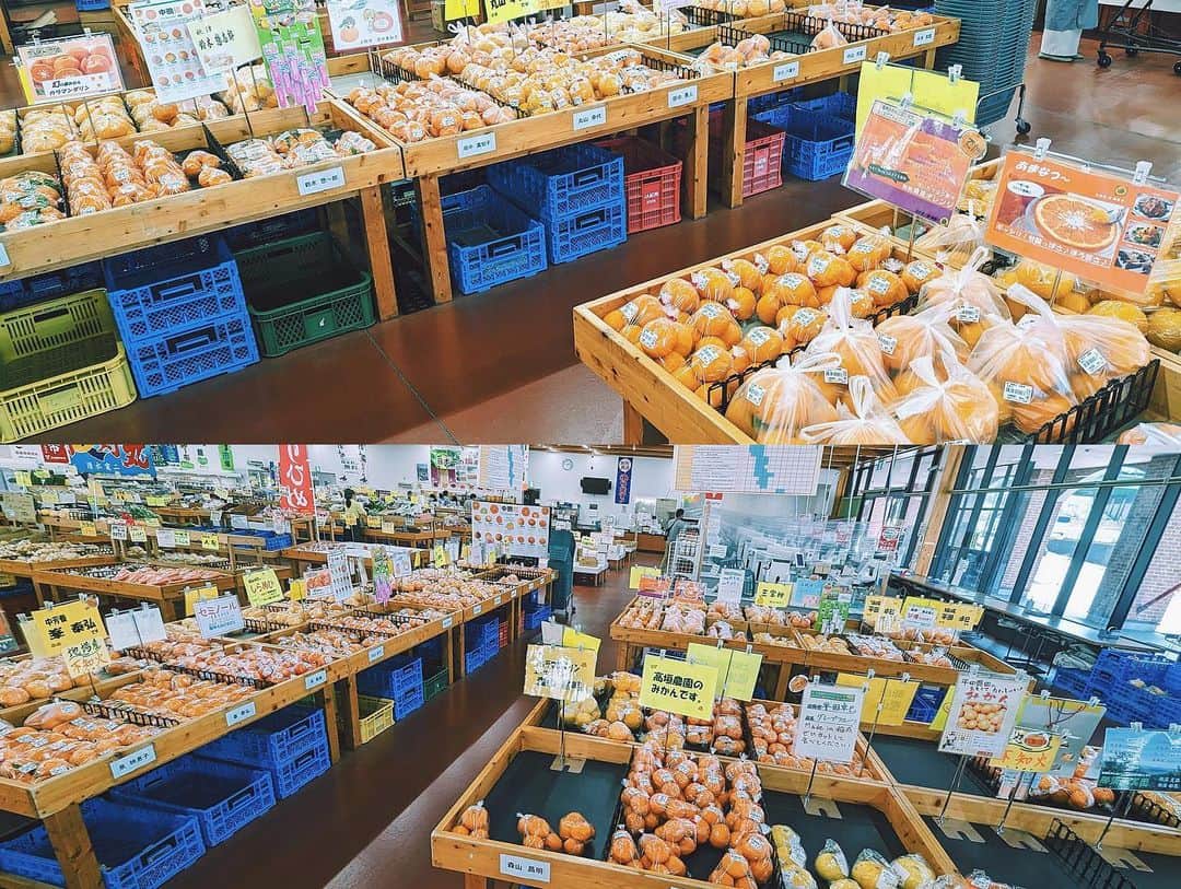寺井幸也さんのインスタグラム写真 - (寺井幸也Instagram)「ㅤㅤㅤ 初和歌山へ🍊 ㅤㅤㅤ 実は７月に田辺市の 紀伊田辺駅前に オープンする発酵をテーマにした 飲食店のメニューのプロデュースをするのです。 が、和歌山に行った事がなく😅 弾丸ですがさっそく行ってきました！ ㅤㅤㅤ 柑橘含むフルーツ大国の イメージ通りスーパーには とんでもない種類の柑橘が並んでました。 レモンやグレープフルーツなど 添加物たっぷりで輸入が多い柑橘も 無農薬であったり、さすがだなーと👏🏻👏🏻👏🏻 　　　　 和歌山は漁港もたくさんあり白浜にある　 #とれとれ市場　は観光地ではあるものの 鮮度抜群の海鮮が手軽に食べれるようになっていて めちゃくちゃテンションあがった。 　　　　 中でも"うつぼ"を食べる文化があり 僕もこの旅で初めて唐揚げとタタキを頂きましたが、 衝撃。美味い。 これは鰻と鶏肉の間かな？ 独特の身の締り方と脂のノリが めちゃくちゃ美味しかった。 そして、"ヒロメ"というワカメに近い海藻。 これがまだ感動。 歯触り最高な優しい感じのシャキシャキ感と粘り。 癖もなく永遠に食べれちゃうじゃん！ 食べた事ないものを食べてる時が一番幸せな幸也です。すぐ頭でメニューを組みたてるワクワク感がたまらん。その他夕方に釣って捌きたてがモッチモチなモチ鰹なるものもあるそうで次回必ず食べたい🥺 　　　　 お肉もみかんの皮を食べて育った "みかんどり"紀州梅エキスが入った餌で育った "紀州うめ豚"高級和牛で有名な"熊野牛"など お肉も充実。 野菜も全体的に地元のもので溢れていて、 これなら地産地消のお店ができるな！ っと確認できた😊 ㅤㅤㅤ 後半は観光もさせてもらって大満足。 日本最古のお湯で有名な　#崎の湯  また入りたい。凄いよかったなぁー。 あと　#千畳敷 ？ここ凄いね😳 周りの若者にまじり思わず映え写真 とったわ。笑 ㅤㅤㅤ というわけで、 ちょくちょく和歌山にお邪魔します。 そして７月のオープンは店頭にもたちますので よろしくお願い致します❤️‍🔥」5月3日 11時19分 - yukiya.terai