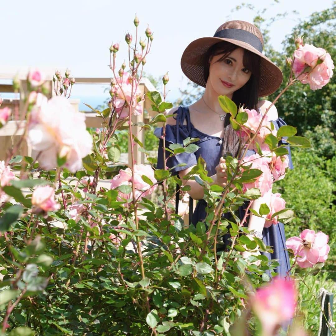 桃瀬えりなのインスタグラム：「ACAOFOREST🌳🍃バラ撮影🌹 一眼レフversion📸  #acaoforest #atami #rose #camera #follow #followme #アカオハーブアンドローズガーデン #熱海 #バラ #バラ撮影 #一眼レフ #カメラ」