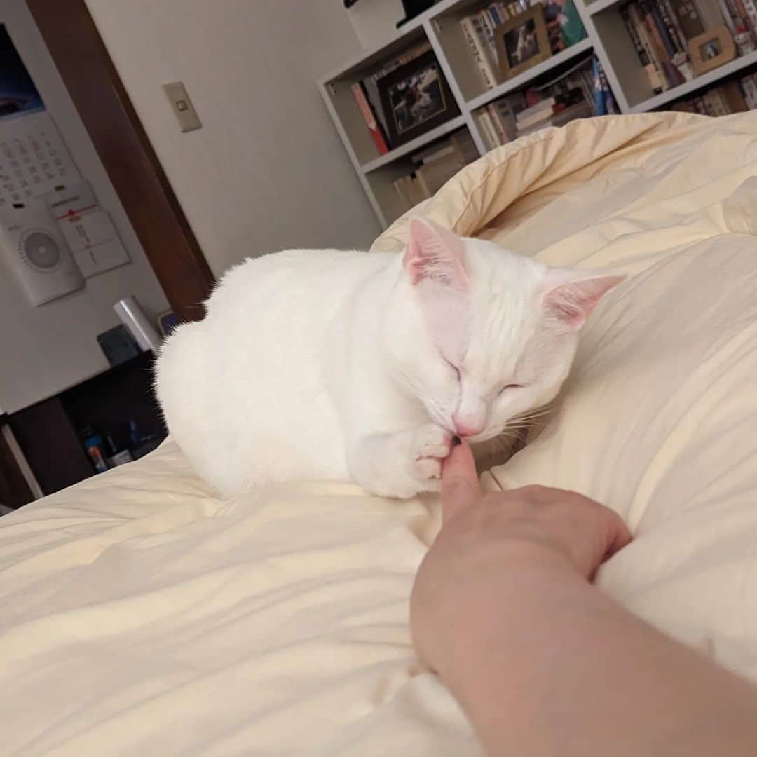 岡田屋鉄蔵のインスタグラム：「指チュッチュ」
