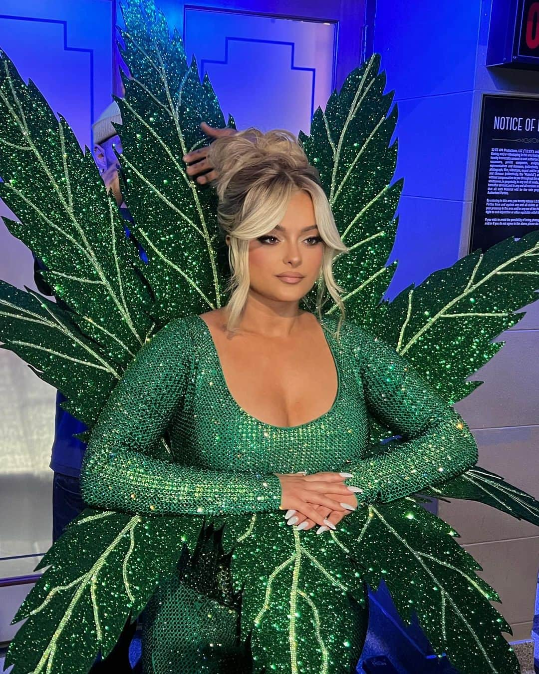 Bebe Rexhaさんのインスタグラム写真 - (Bebe RexhaInstagram)「Yes, I was a giant weed leaf for my @jimmykimmellive performance. A sativa leaf to be exact. Thanks to @marta.del.rio for helping me bring my idea to life.」5月3日 5時55分 - beberexha