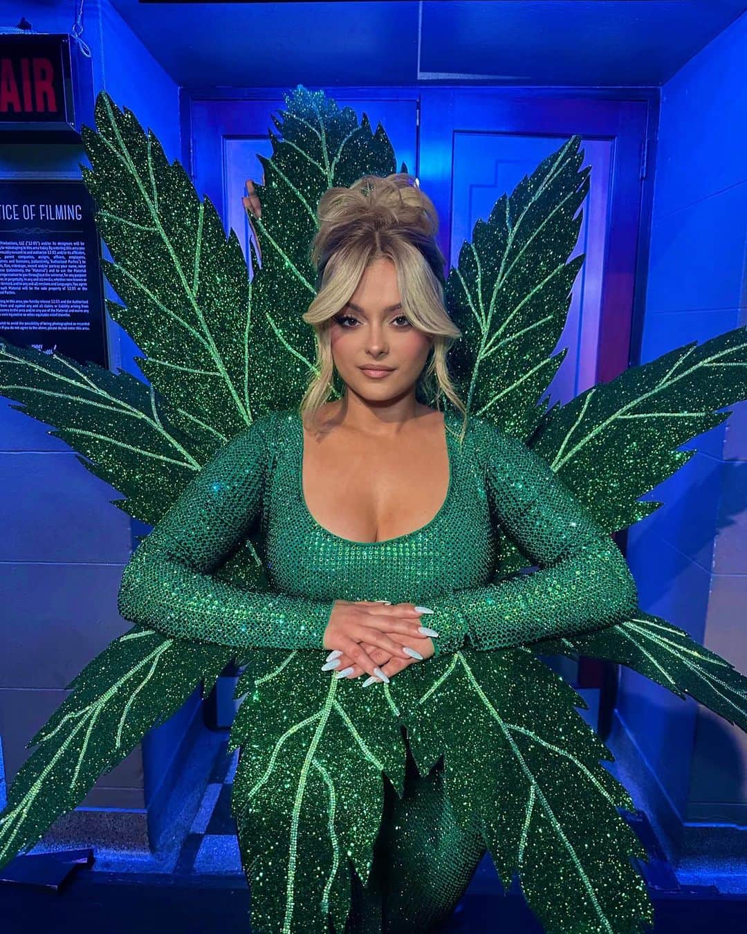 Bebe Rexhaのインスタグラム：「Yes, I was a giant weed leaf for my @jimmykimmellive performance. A sativa leaf to be exact. Thanks to @marta.del.rio for helping me bring my idea to life.」
