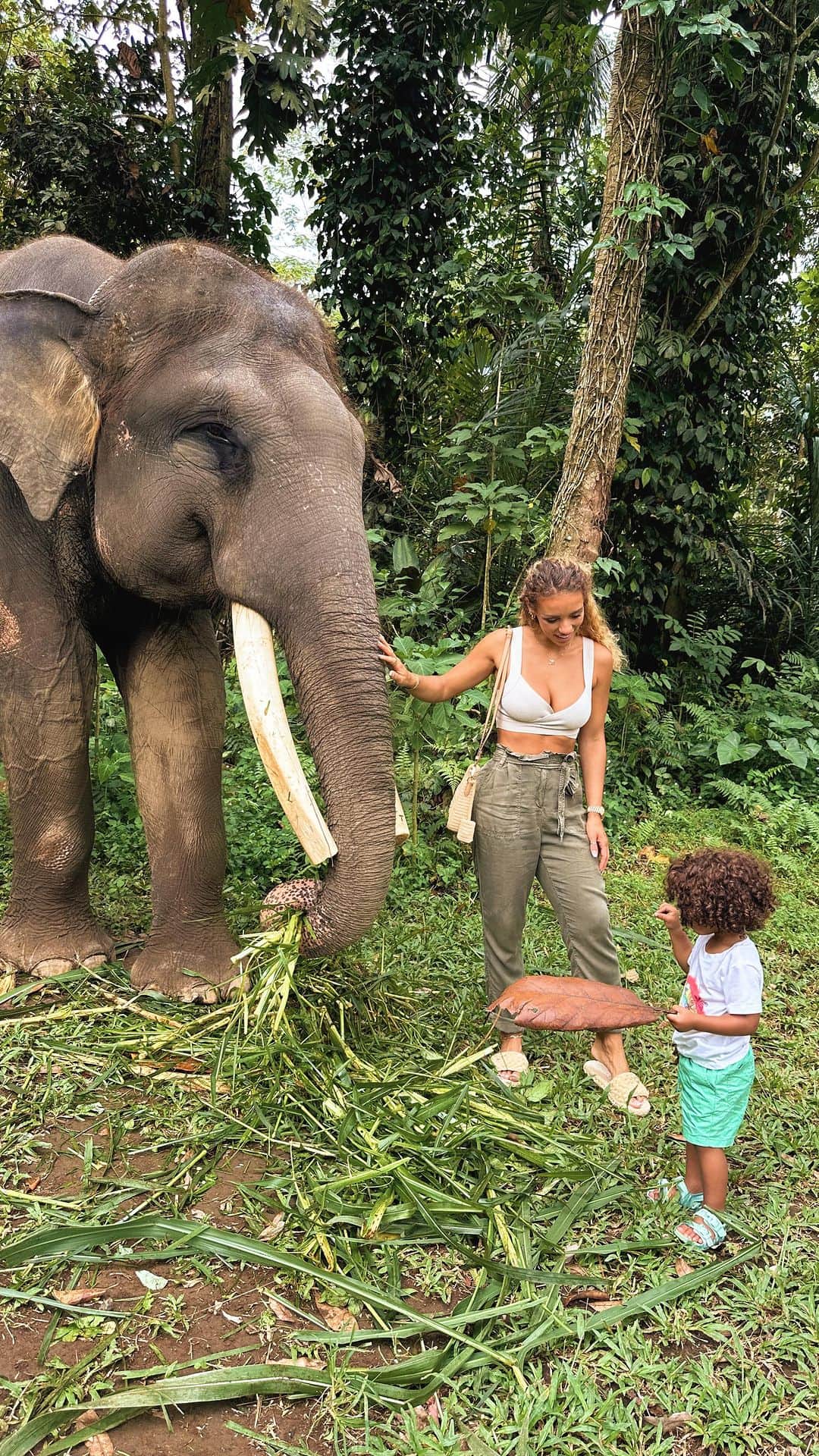 Jena Frumesのインスタグラム：「Elephants are magical🐘 Love showing my boy to respect and 💛 them✨」