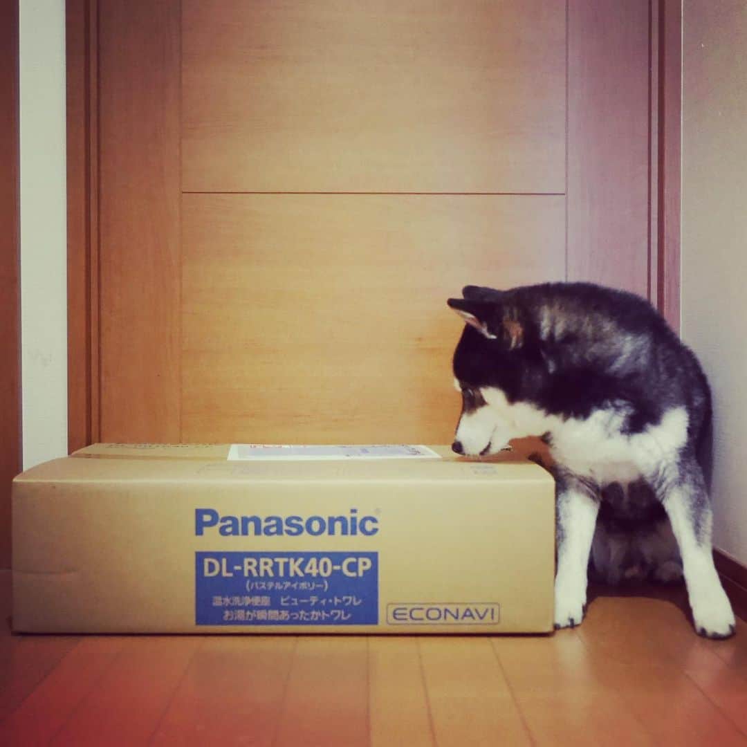 くろのインスタグラム