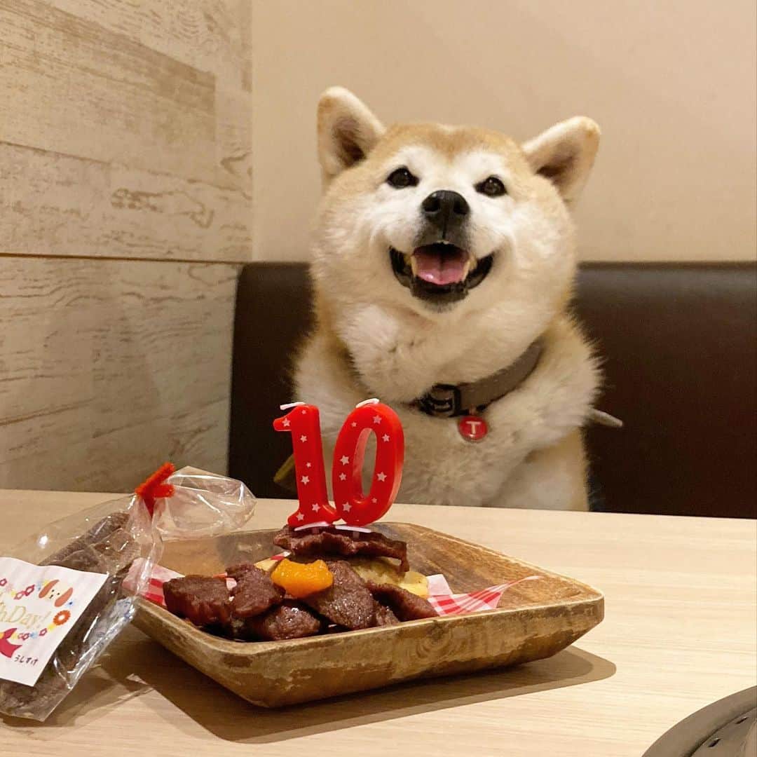 てんパパのグルメインスタ