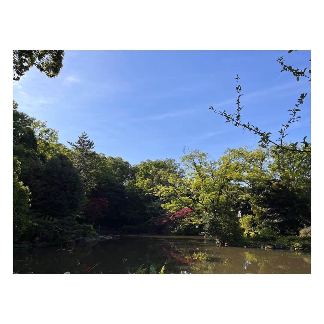 阿部洋子さんのインスタグラム写真 - (阿部洋子Instagram)「🏃‍♂️🏃‍♂️🏃‍♂️  #ぐっもーにん  #早起きラン   いつもは行かない公園の中へ ジャングルみたいになってた！  朝早いのに、意外に人多し！  #running  #day7   #nofilter」5月3日 8時43分 - hirocoring