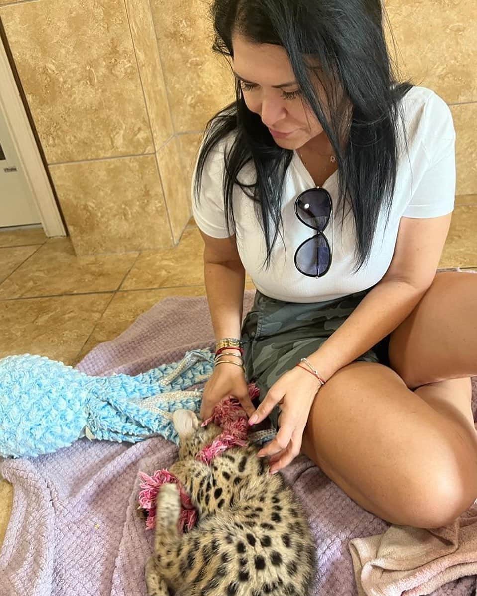 Zoological Wildlife Foundationのインスタグラム