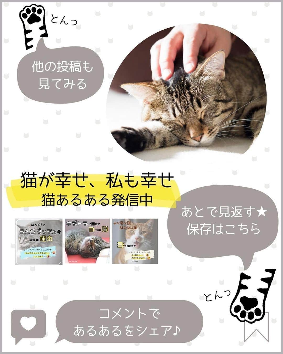 猫壱（ねこいち•ネコイチ）さんのインスタグラム写真 - (猫壱（ねこいち•ネコイチ）Instagram)「獣医師で米国獣医行動学専門医でもある入交先生に聞く！  猫は人とあそぶことが大好き❤︎❤︎ 人間が猫の【遊んで！】に応えるヒントを教えて頂きました🤲   :::::::::#猫壱 :::::::  猫壱は\猫が幸せ、私も幸せ/をモットーに猫グッズの開発に取り組んでいます♪ ▫ 気になる方は @necoichicojp をチェックしてみてくださいね！ ▫  ................................................  #猫壱豆知識#猫壱#necoichi#豆知識#獣医監修#獣医師 #ねこと暮らす #猫の幸せ」5月3日 19時57分 - necoichicojp