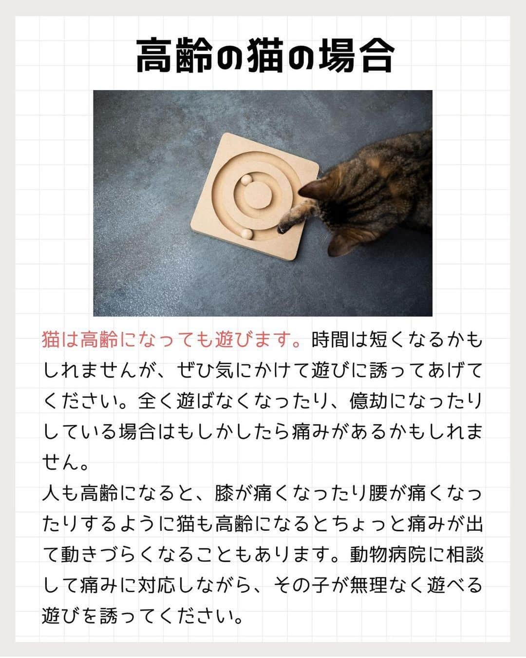 猫壱（ねこいち•ネコイチ）さんのインスタグラム写真 - (猫壱（ねこいち•ネコイチ）Instagram)「獣医師で米国獣医行動学専門医でもある入交先生に聞く！  猫は人とあそぶことが大好き❤︎❤︎ 人間が猫の【遊んで！】に応えるヒントを教えて頂きました🤲   :::::::::#猫壱 :::::::  猫壱は\猫が幸せ、私も幸せ/をモットーに猫グッズの開発に取り組んでいます♪ ▫ 気になる方は @necoichicojp をチェックしてみてくださいね！ ▫  ................................................  #猫壱豆知識#猫壱#necoichi#豆知識#獣医監修#獣医師 #ねこと暮らす #猫の幸せ」5月3日 19時57分 - necoichicojp