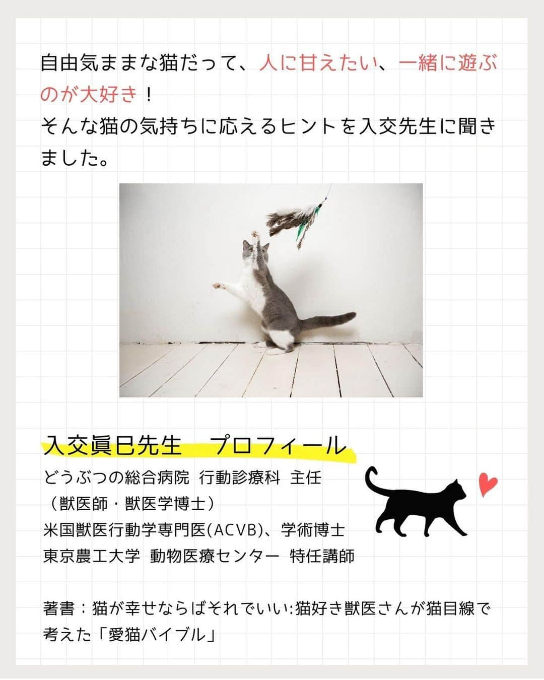 猫壱（ねこいち•ネコイチ）さんのインスタグラム写真 - (猫壱（ねこいち•ネコイチ）Instagram)「獣医師で米国獣医行動学専門医でもある入交先生に聞く！  猫は人とあそぶことが大好き❤︎❤︎ 人間が猫の【遊んで！】に応えるヒントを教えて頂きました🤲   :::::::::#猫壱 :::::::  猫壱は\猫が幸せ、私も幸せ/をモットーに猫グッズの開発に取り組んでいます♪ ▫ 気になる方は @necoichicojp をチェックしてみてくださいね！ ▫  ................................................  #猫壱豆知識#猫壱#necoichi#豆知識#獣医監修#獣医師 #ねこと暮らす #猫の幸せ」5月3日 19時57分 - necoichicojp