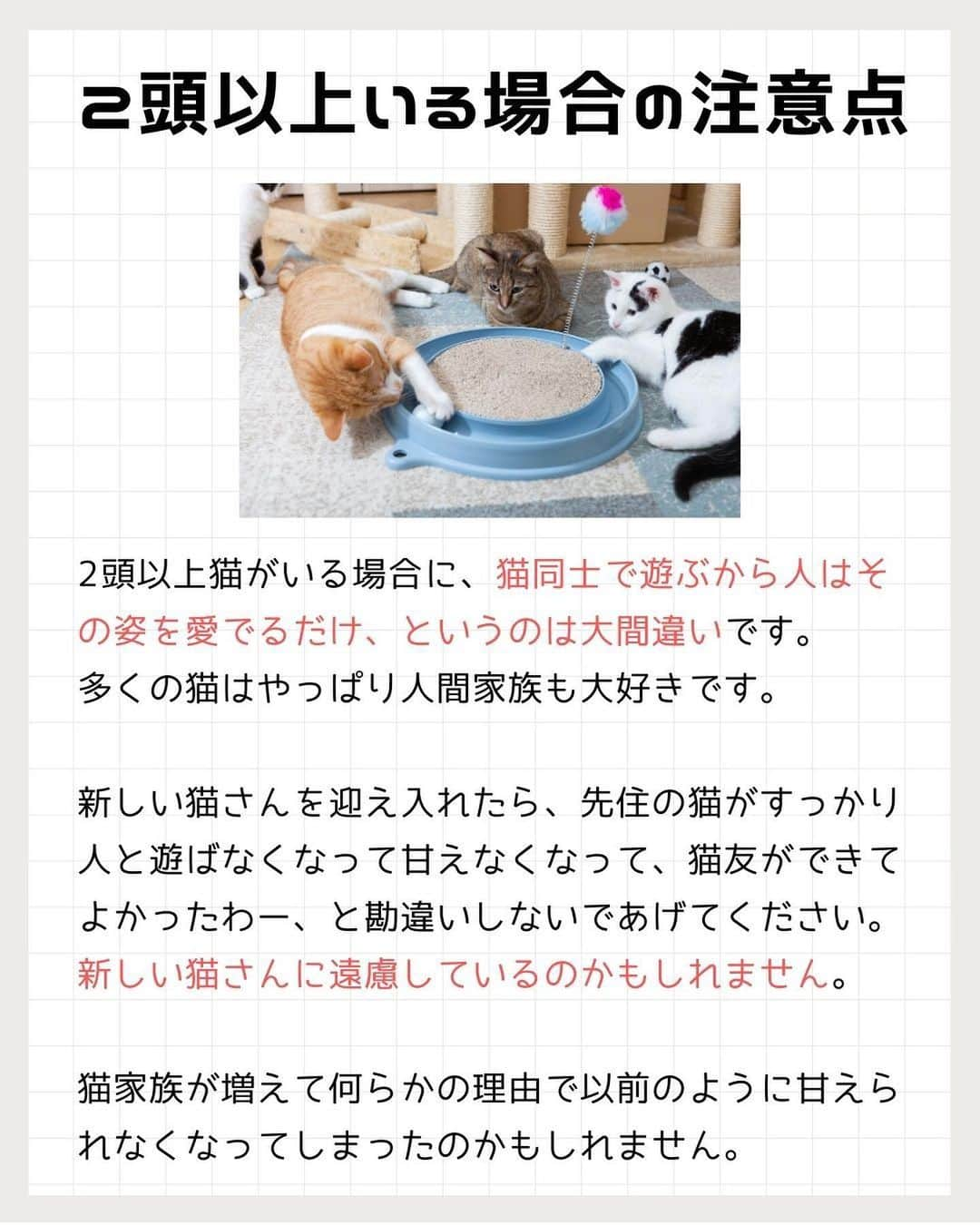 猫壱（ねこいち•ネコイチ）さんのインスタグラム写真 - (猫壱（ねこいち•ネコイチ）Instagram)「獣医師で米国獣医行動学専門医でもある入交先生に聞く！  猫は人とあそぶことが大好き❤︎❤︎ 人間が猫の【遊んで！】に応えるヒントを教えて頂きました🤲   :::::::::#猫壱 :::::::  猫壱は\猫が幸せ、私も幸せ/をモットーに猫グッズの開発に取り組んでいます♪ ▫ 気になる方は @necoichicojp をチェックしてみてくださいね！ ▫  ................................................  #猫壱豆知識#猫壱#necoichi#豆知識#獣医監修#獣医師 #ねこと暮らす #猫の幸せ」5月3日 19時57分 - necoichicojp