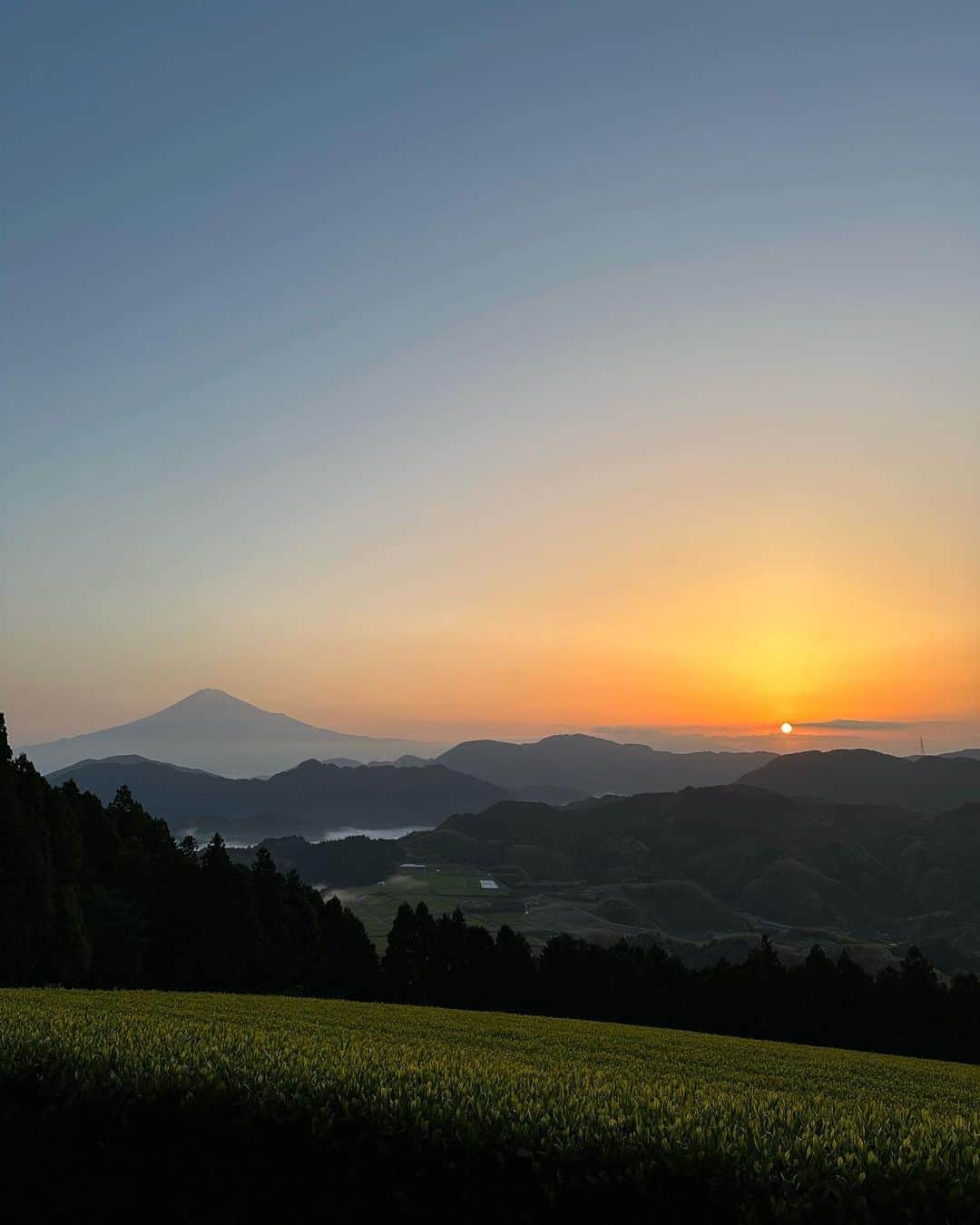 鈴木詩織さんのインスタグラム写真 - (鈴木詩織Instagram)「静岡2日目🍃  すっかり虜になってしまった「The Coffee roaster」カフェ☕️ 匠宿内にあるのですが、伝統工芸を使った内装と雰囲気が本当に素敵でたまらなかった🤍コーヒーも美味しかったよん🤭(1〜3枚目)  富士山と茶畑からのサンライズ✨ 鳥の囀りが響き渡って、雲海も少し見えて最高の景色でした☺️日の出なんて見たのいつ以来だろう。 早起きした甲斐がありました💗(4,5枚目)  種類豊富なお茶を取り揃えている「Chagama」さんにも伺いました🍵 新茶の更に先取り「大走り新茶」試飲したり、お茶のボトリングティーやティーエスプレッソを頂いてお茶を堪能したよ😌(6〜8枚目)  お茶染めを体験！お茶で染められたミニバッグに好きな柄と文字を入れてオリジナルバッグを作成しました🫡使わなくなった茶葉を使ってとってもサスティナブル🍃他にも色々な伝統工芸体験ができるみたいなのでやってみたいなぁ(9,10枚目)  行くたびに新しい静岡が発見できるので本当に楽しかった♡ お茶はもちろん、伝統工芸だったり他の静岡の魅力にも触れることができて大満足な旅でした！ リリーも連れて行きたいなと思ったスポットがいくつもあったので、いつか行けたらいいなっ🐶💗  今回訪問したするがに関する情報は @visit_suruga.jp からも見れます🙆🏻‍♀️  @suruga_traveler #するとら#visitsuruga#静岡観光#匠宿#茶畑#chagama」5月3日 20時09分 - shiorin0802suzuki