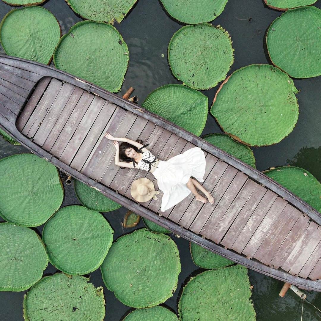 溝呂木世蘭さんのインスタグラム写真 - (溝呂木世蘭Instagram)「【タイ🇹🇭プーケット、蓮の葉が浮かぶカフェ】  📍Ma Doo Bua  このカフェは目の前の池に蓮の葉が広がっていて、 そこに浮かぶ船にのってドローンで撮影もしてもらえるよう♡  ドローンで撮影してもらうときはポーズの指定とかまでしてくれて とっても助かった♡  ちなみにここは泊まることもできて今回は一泊だけここに宿泊しました♡  大きなプールもあって、 部屋は全部一戸建てで、可愛いお部屋だった🤭  バチェラー4のロケ地にもなった場所なんだって！  かなり人も多く賑わってました！  #蓮の葉#madoobua#プーケット#プーケットおすすめ#タイおすすめ#タイ#Phuket#バチェラー#ロケ地#旅好き#タビジョ#旅んちゅ#トラベラー#traveler」5月3日 20時22分 - seran_0422