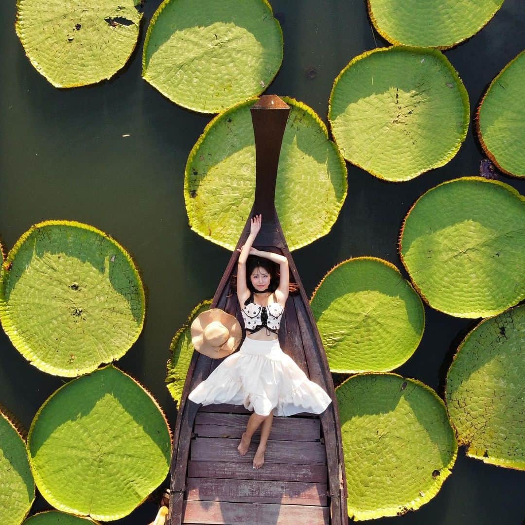溝呂木世蘭さんのインスタグラム写真 - (溝呂木世蘭Instagram)「【タイ🇹🇭プーケット、蓮の葉が浮かぶカフェ】  📍Ma Doo Bua  このカフェは目の前の池に蓮の葉が広がっていて、 そこに浮かぶ船にのってドローンで撮影もしてもらえるよう♡  ドローンで撮影してもらうときはポーズの指定とかまでしてくれて とっても助かった♡  ちなみにここは泊まることもできて今回は一泊だけここに宿泊しました♡  大きなプールもあって、 部屋は全部一戸建てで、可愛いお部屋だった🤭  バチェラー4のロケ地にもなった場所なんだって！  かなり人も多く賑わってました！  #蓮の葉#madoobua#プーケット#プーケットおすすめ#タイおすすめ#タイ#Phuket#バチェラー#ロケ地#旅好き#タビジョ#旅んちゅ#トラベラー#traveler」5月3日 20時22分 - seran_0422