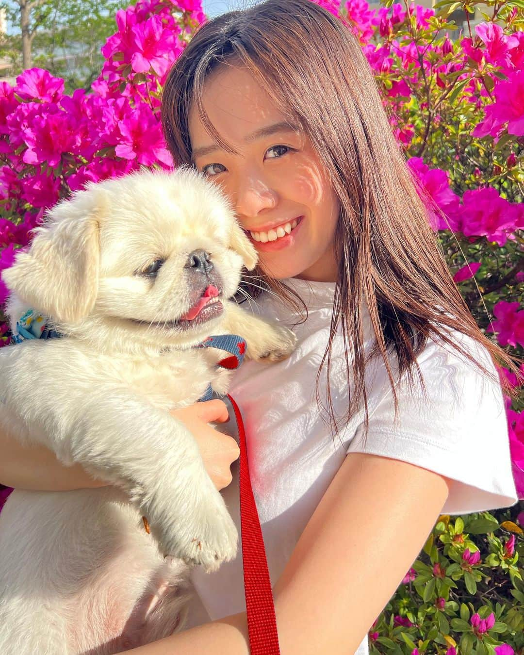 白川蘭珠さんのインスタグラム写真 - (白川蘭珠Instagram)「.  🐶🌺」5月3日 20時23分 - ranju_nishihara