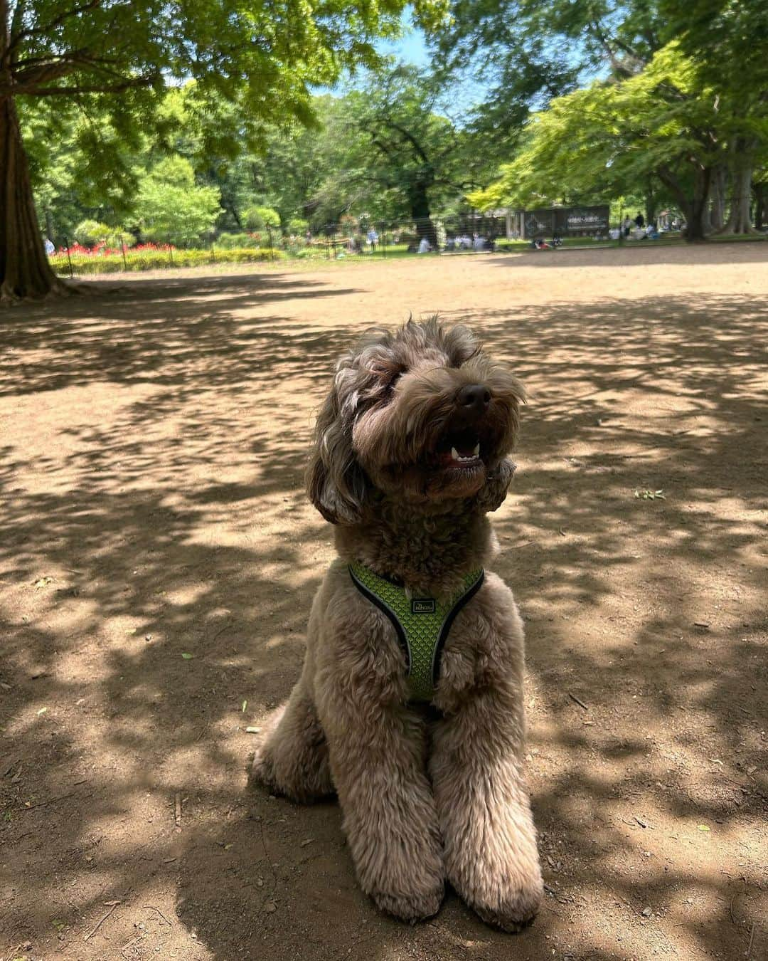 下山碧夢さんのインスタグラム写真 - (下山碧夢Instagram)「暑すぎてノースリーブ🥵 日焼け止め塗らないと〜🔆」5月3日 20時38分 - a07m1u2