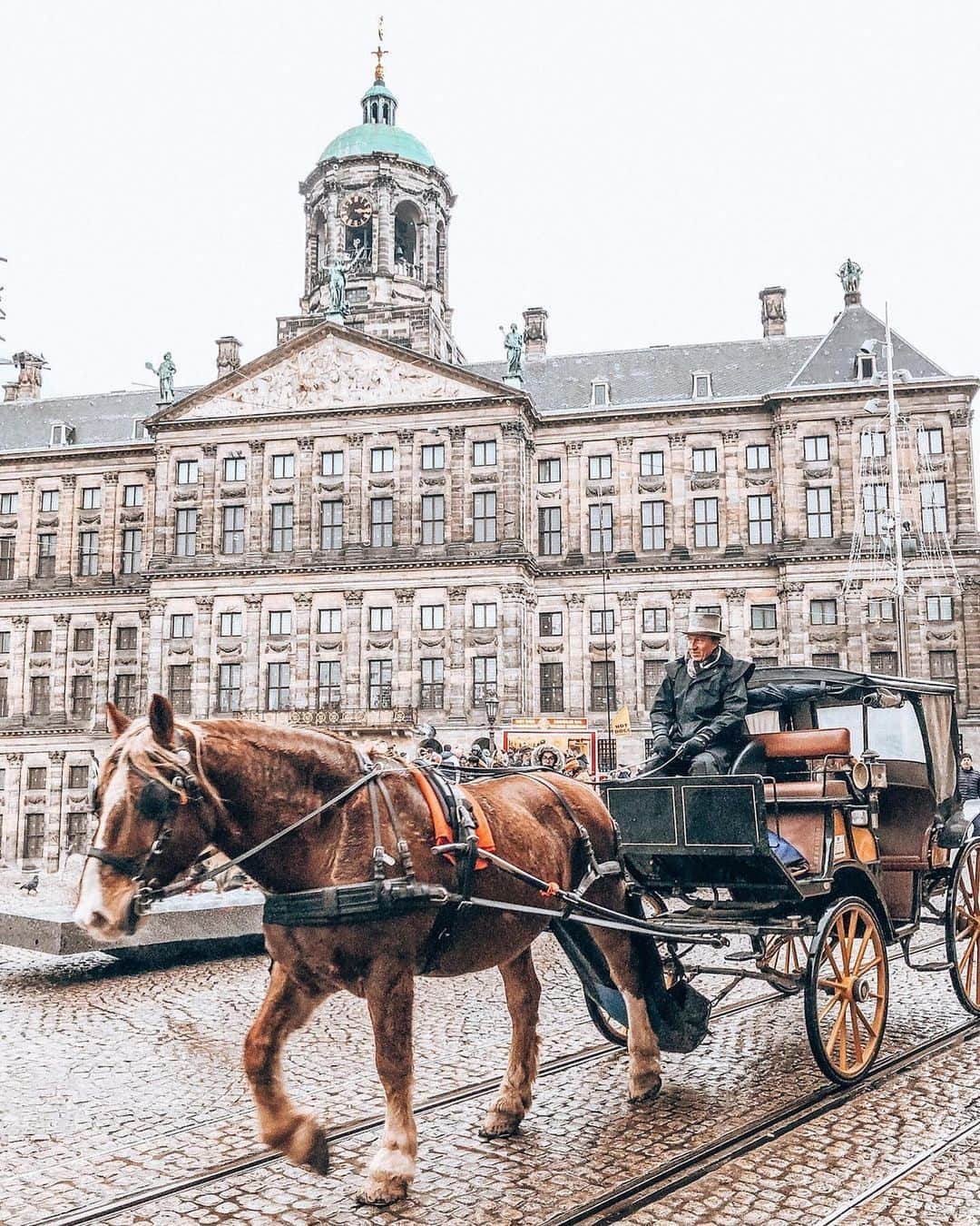 キャセイパシフィック航空さんのインスタグラム写真 - (キャセイパシフィック航空Instagram)「Amsterdam is gezellig—cozy, intimate, and clock-stoppingly present ⭐.   Rent a bike and pedal along the narrow lanes that inevitably open up to quaint canals. There’s always time to sit down for a cuppa or a pint at a brown cafe🍻. The Vermeers, the Van Goghs and the Rembrandts aren’t going anywhere. Museums and galleries, classical churches and music venues, flower gardens and dance clubs… Amsterdam is just one gezellig Cathay flight away✈️!  阿姆斯特丹是一個「Gezellig」的地方⭐。（荷蘭語：舒適、自在、溫馨的意思）  騎著單車穿梭橫街窄巷，沿着充滿歷史的運河探索。除了拜會維梅爾、梵高、倫勃朗的作品，記得可以到當地傳統咖啡廳喝上一杯🍻。整個阿姆斯特丹都被博物館、畫廊、教堂、音樂會場等文化氣息圍繞著，而你與藝術距離，只是一程「Gezellig」的國泰航班✈️！  📸@basbangaphotography , @journalofwonders , @jwamsterdamtours  #cathaypacific #MoveBeyond」5月3日 20時54分 - cathaypacific