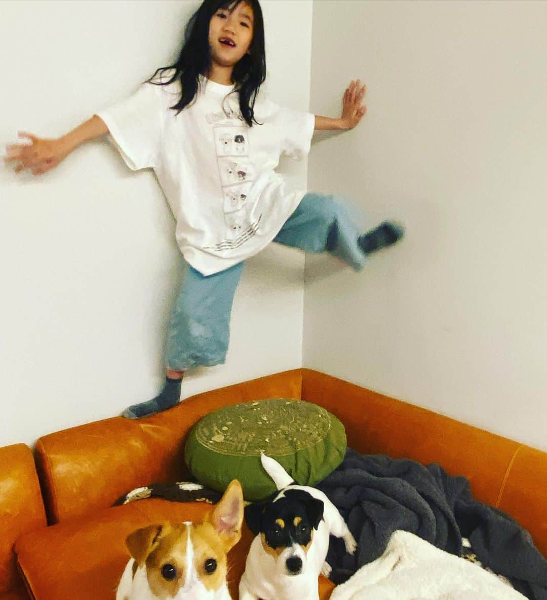 森本千絵さんのインスタグラム写真 - (森本千絵Instagram)「#NEWWORLD   No.19 #ちゃブラック  S size  🐶🐶  goen°16th Anniversary Exhibition2023 【　NEW WORLD 】  Original Artwork T-shirts　 Created by Chie Morimmoto & goen°mate  goen°16周年を記念して この夏、アートディレクターの森本千絵が1999年から今に至るまで、広告やアートワーク、MVの企画をしている間に描いたスケッチや絵が、新たな物語を添えて50点のTシャツになりました。  日頃の感謝の気持ちを込めて大放出します。 ここでしか出会えない世界でひとつの幻のTシャツです。  #goen #Ateliergoen #newworld #tshirts #goldenweek #summer  #japan #design #art #idea #drawing #music #advertisement #daikanyama #tokyo #special #sale #chiemorimoto  店舗では原画と共に楽しんでください！  本日から絵柄を変えながら夏まで！！無謀な企画スタート❗️」5月3日 21時05分 - chiemorimoto_goen