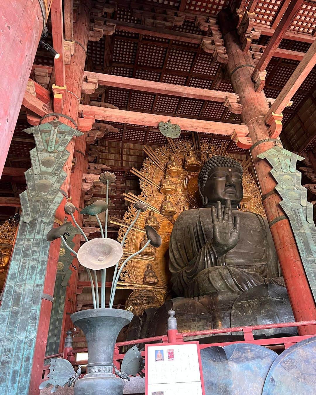 野木久美子さんのインスタグラム写真 - (野木久美子Instagram)「三重〜スタートの無計画旅行。 最後は奈良に到着しました🦌  凄い沢山の人で賑わってたな🦌🦌🦌 久しぶりの奈良で楽しかったーーー  ❤️❤️❤️🦌❤️❤️❤️ #行き当たりばったり旅  #無計画旅行 #奈良に到着 #奈良の大仏様 #東大寺#奈良公園 #🦌 #奈良観光」5月3日 21時14分 - nogikumigram