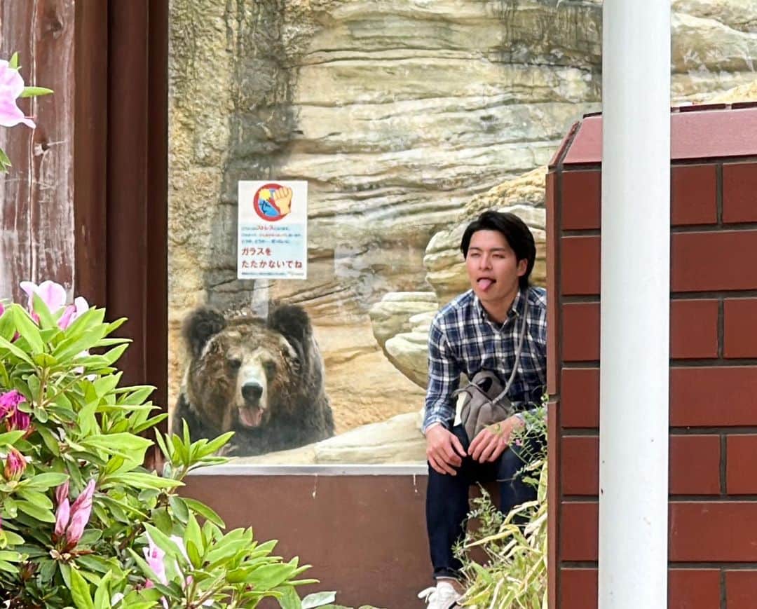 たつやさんのインスタグラム写真 - (たつやInstagram)「クマ好き カバ怖い」5月3日 21時18分 - h_tatsuya522
