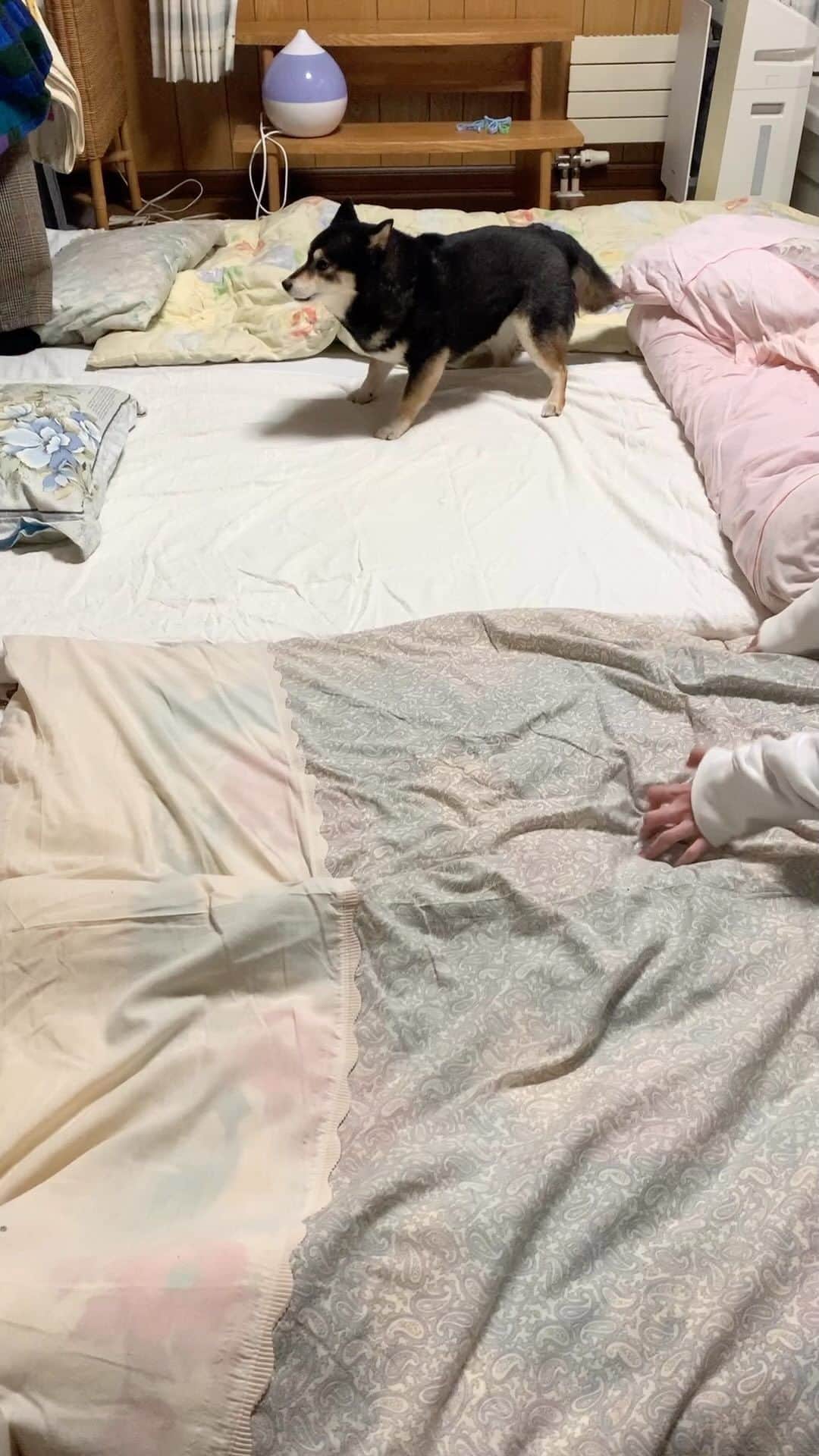吾子のインスタグラム