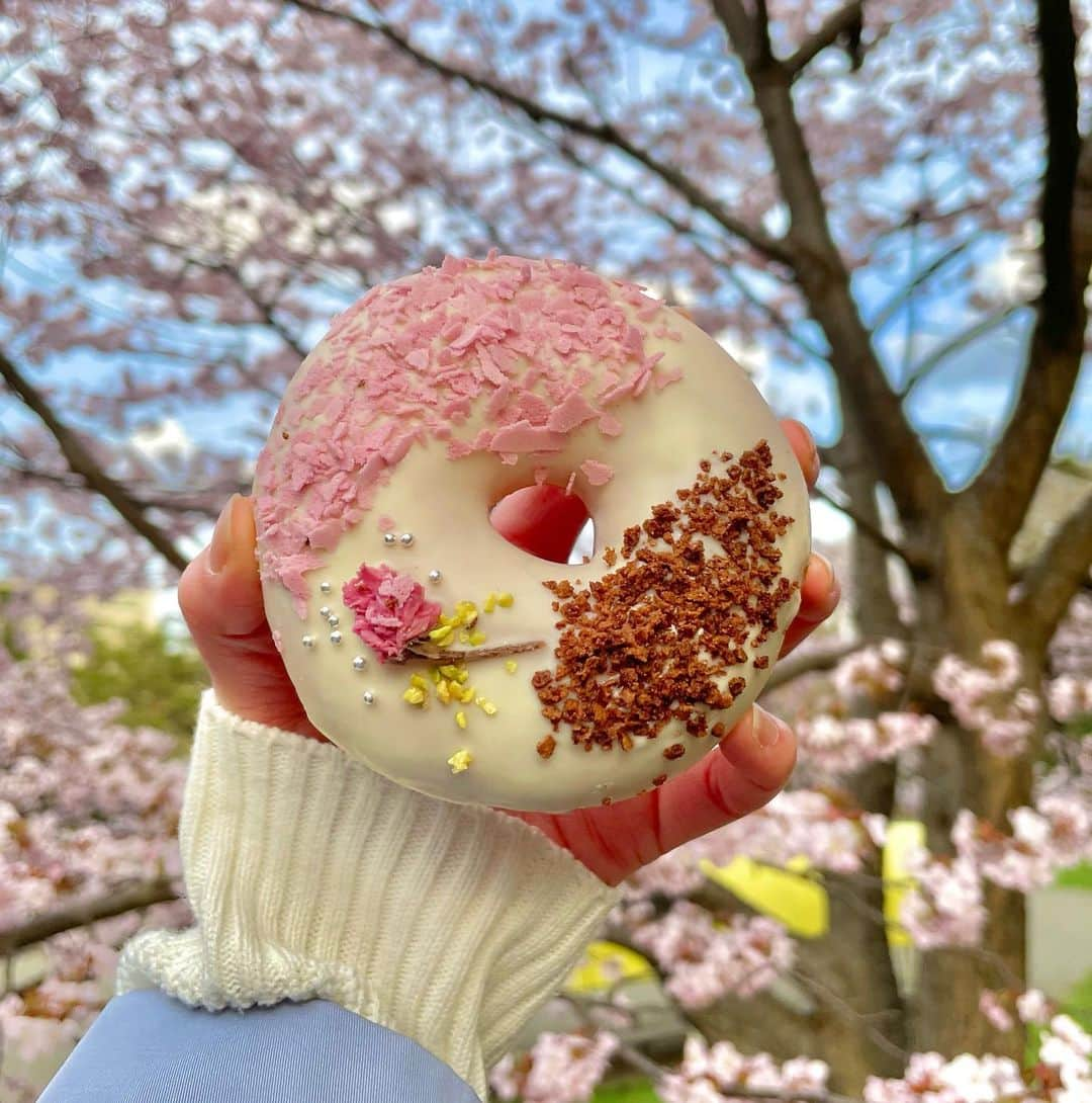 世永聖奈さんのインスタグラム写真 - (世永聖奈Instagram)「🌸 ⁡ ⁡ 桜を見ながら桜ドーナツを食べた日！ ⁡ ⁡ #お花見 #円山公園  #札幌グルメ #札幌スイーツ #ドーナツ ⁡#春満喫 #桜満開 #よぉいやさぁ」5月3日 12時23分 - hbc_yonagasena