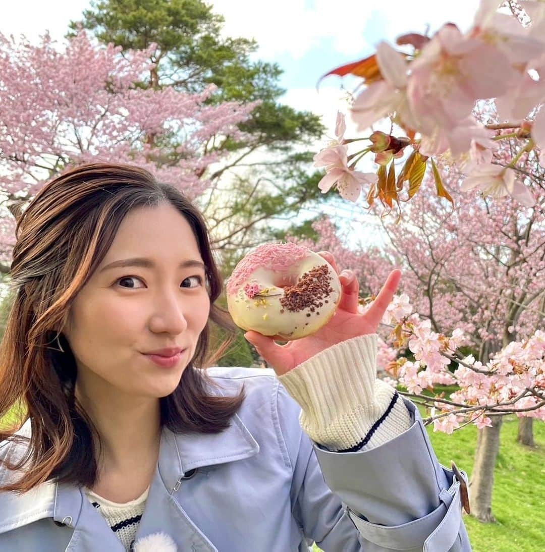 世永聖奈さんのインスタグラム写真 - (世永聖奈Instagram)「🌸 ⁡ ⁡ 桜を見ながら桜ドーナツを食べた日！ ⁡ ⁡ #お花見 #円山公園  #札幌グルメ #札幌スイーツ #ドーナツ ⁡#春満喫 #桜満開 #よぉいやさぁ」5月3日 12時23分 - hbc_yonagasena