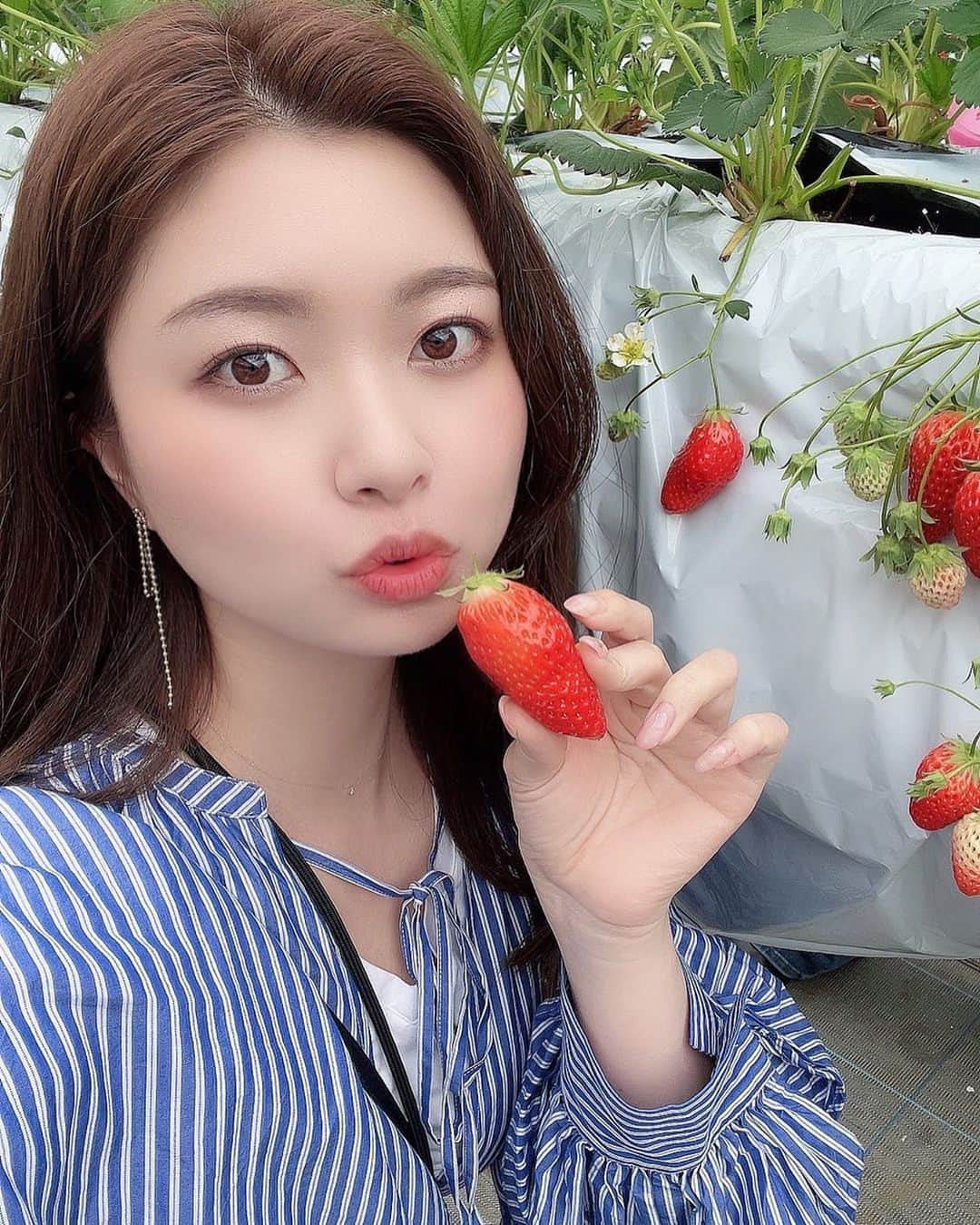 八軒あやねのインスタグラム：「先月...🍓 毎年恒例のいちご狩りへ😋❣️  美味しかった😉✨  #いちご狩り　#関西モデル　#インフルエンサー　#奈良観光」