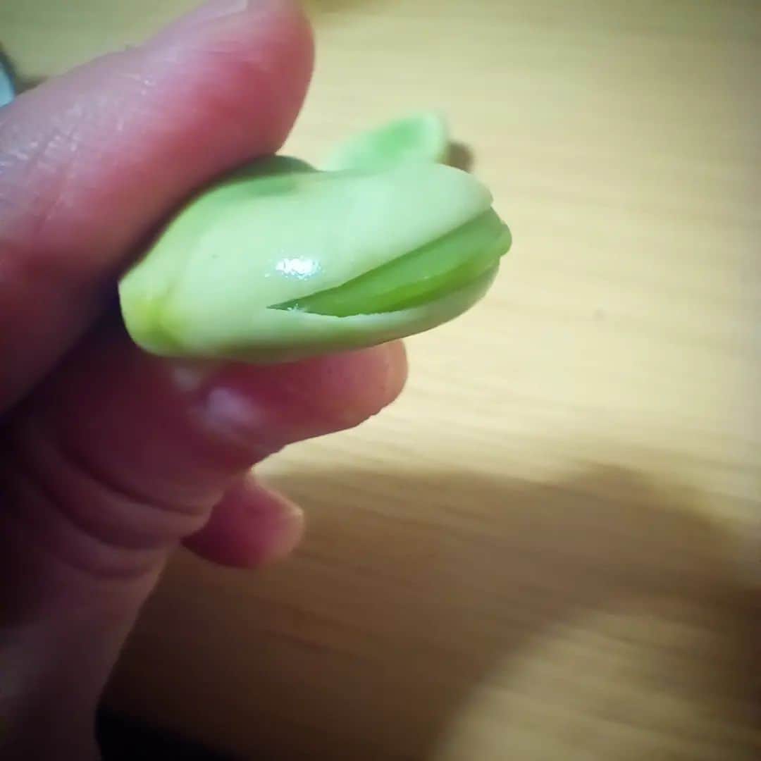 松本隆博のインスタグラム：「。⁡ ⁡オカンとそら豆食べてます…⁡ ⁡そら豆のオシリの所に包丁で⁡ ⁡切り込み入れておく事で、⁡ ⁡ツルッと剥けて食べやすい。⁡ ⁡さすがオカン、昔の人の知恵( ᴖ ·̫ ᴖ ⁡ ⁡オカン曰く…「そらそーや」⁡ ⁡「そら…そーや、そら豆だけに」⁡ ⁡と、、、⁡ ⁡⁡ ⁡息子だから笑ってあげました。⁡ ⁡( ᴖ ·̫ ᴖ )⁡ ⁡⁡ ⁡「で、なんでそら豆と言うのか❓」⁡ ⁡となりネットで調べました。⁡ ⁡⁡ そら豆は、楕円形の莢（サヤ）が⁡ ⁡空に向かって直立する形でつく事⁡ ⁡から「そら豆」というとの事。⁡ ⁡⁡ ⁡ほーなるほど‼️⁡ ⁡そら美味いわー、そら美味い😋‼️⁡ ⁡と、、、⁡ ⁡また使い古しの言い回しをしたから⁡ ⁡⁡ ⁡「オカン⁡、息子やから笑ったるわ」⁡ ⁡と。⁡ ⁡⁡ ⁡還暦少年 松本隆博⁡ ⁡」
