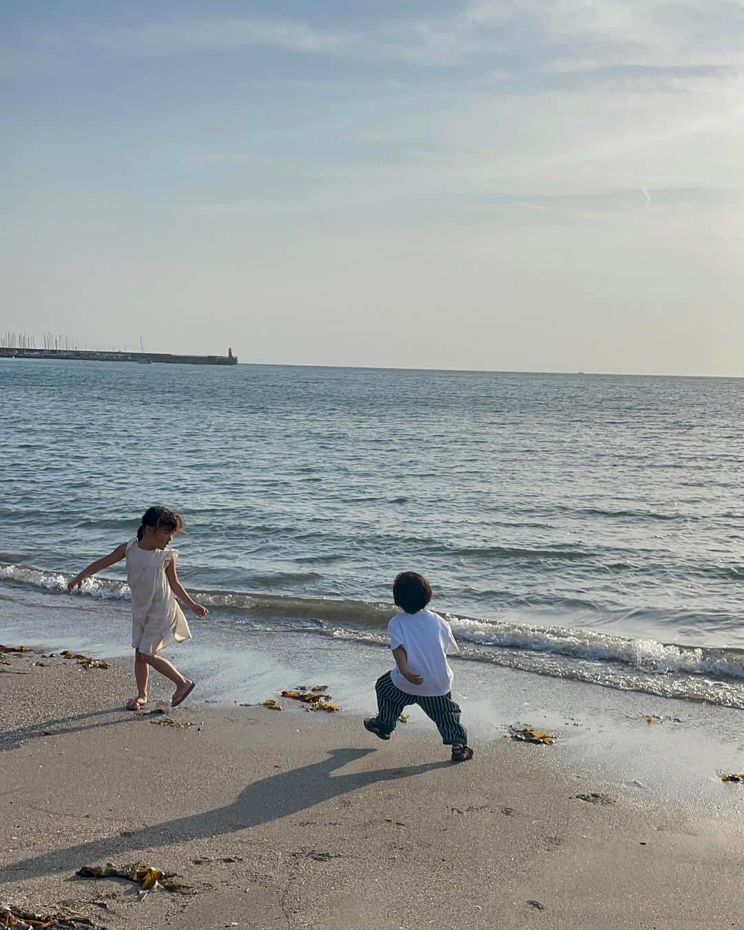 のインスタグラム：「「チャコの海岸物語」  青春の1ページ  それにしても景色(息子)小さい。  声も高い。  with わたあめで捕まえた女の子 (1つ前のポスト参照  #景色 #KESHIKI #4歳 #海岸 #逗子映画祭 #逗子海岸 #青春 #思い出 #景色と見る景色  #息子 #息子ラブ」