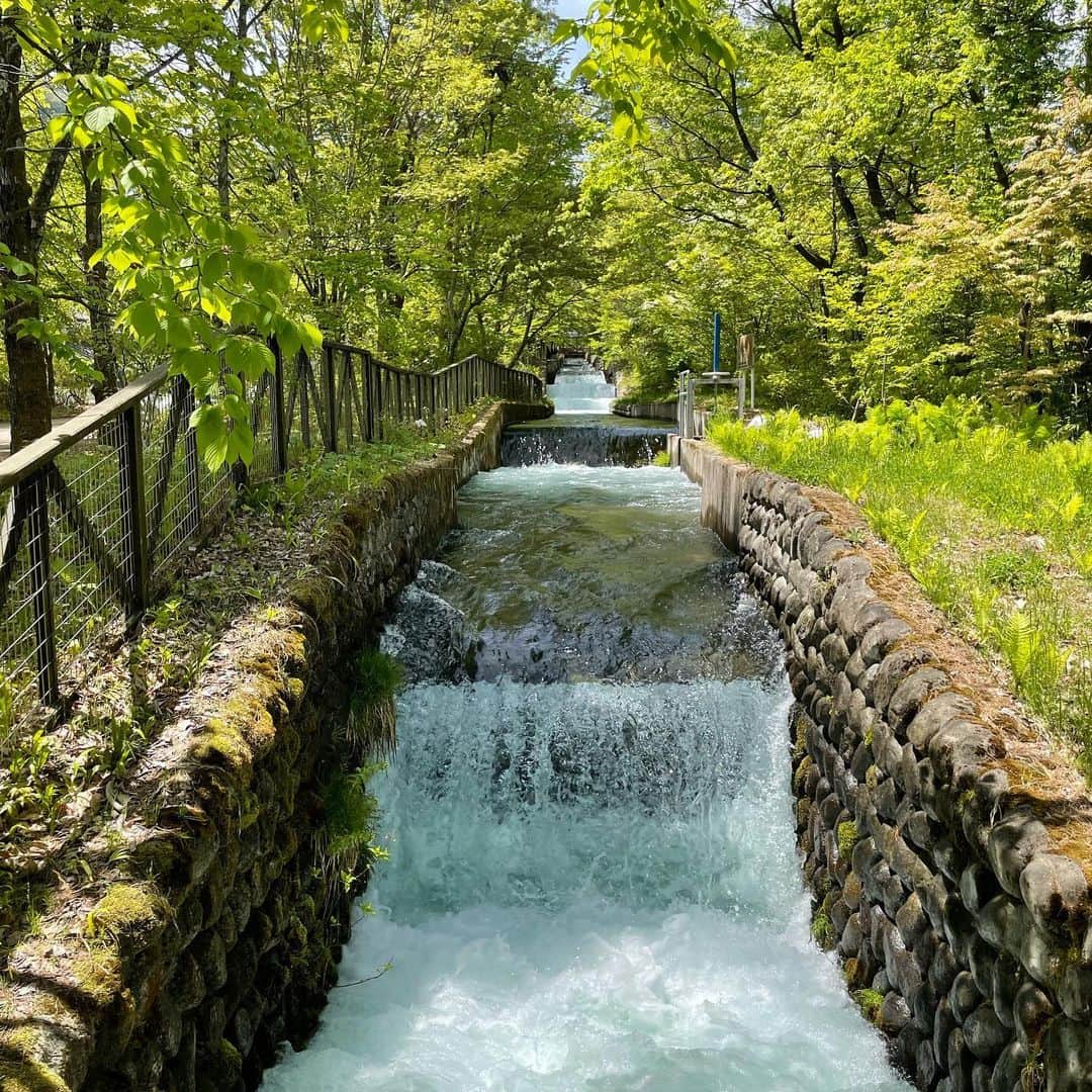 山崎佳のインスタグラム：「ゴールデンウィーク。気持ち良い〜🌳」