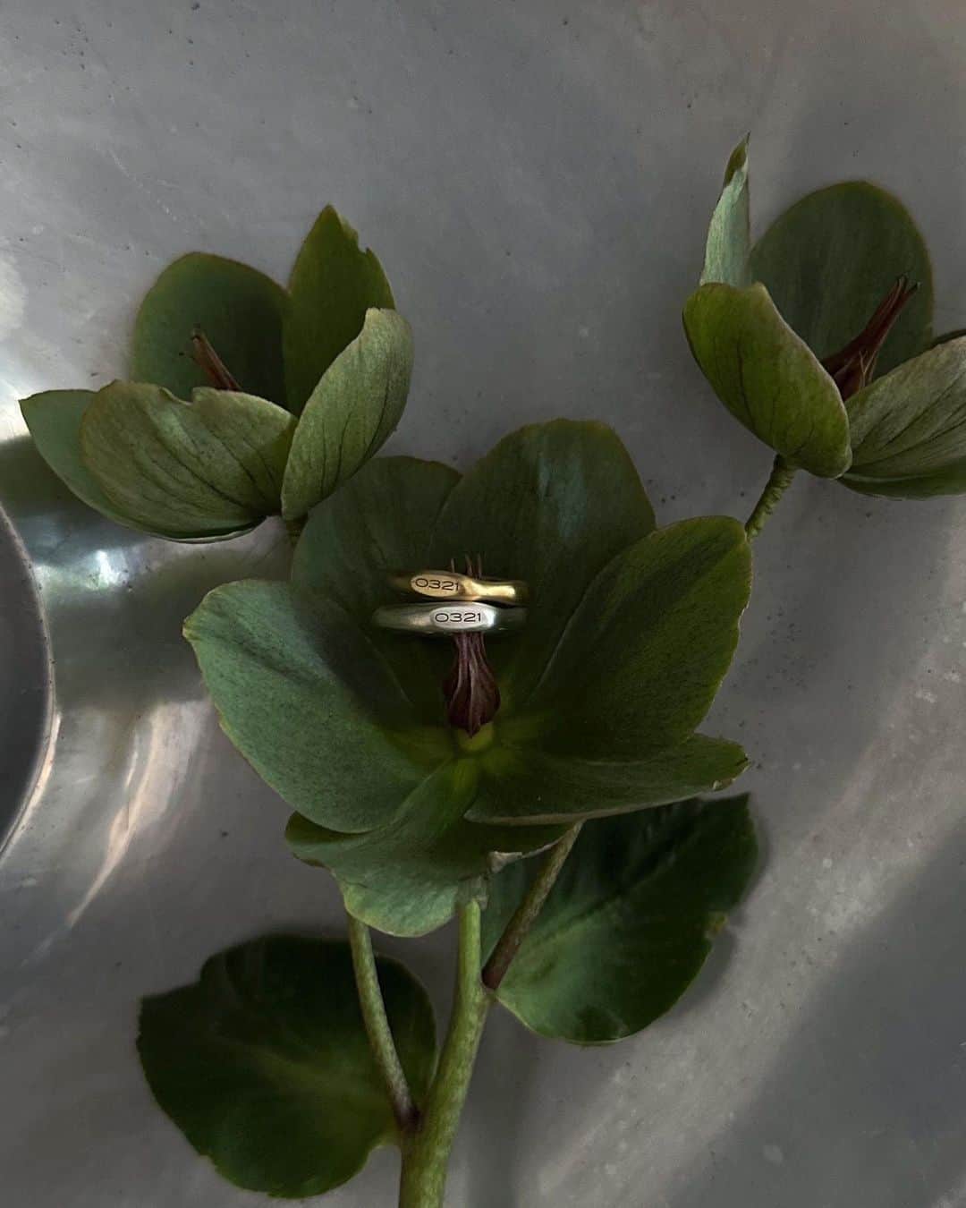 宮坂亜里沙さんのインスタグラム写真 - (宮坂亜里沙Instagram)「💍結婚指輪0321  交際記念日と結婚記念日である3/21(0321)を指輪に入れてもらいました。  形状も普通の円形でなくて少し曲がっていたり太さが変わっている部分があったり、あえて歪な加工を施してもらってとってもお気に入り😌  一点ものの指輪は @atelierstcat さんにて.」5月3日 14時41分 - arsmysk