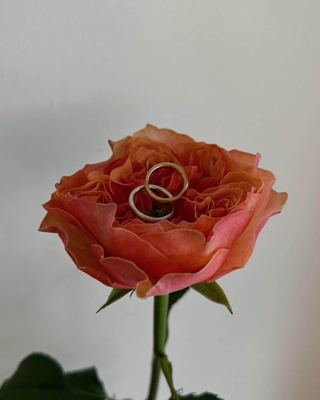 宮坂亜里沙のインスタグラム：「💍結婚指輪0321  交際記念日と結婚記念日である3/21(0321)を指輪に入れてもらいました。  形状も普通の円形でなくて少し曲がっていたり太さが変わっている部分があったり、あえて歪な加工を施してもらってとってもお気に入り😌  一点ものの指輪は @atelierstcat さんにて.」