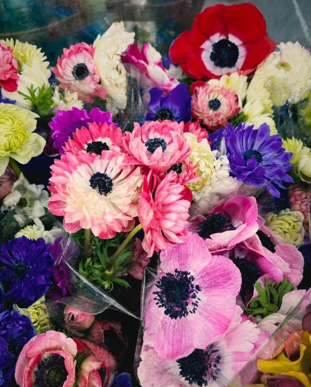 る鹿さんのインスタグラム写真 - (る鹿Instagram)「Shanghai’s flower market 💐🌷🌹🌼🌸🌺」5月3日 14時42分 - luluxinggg