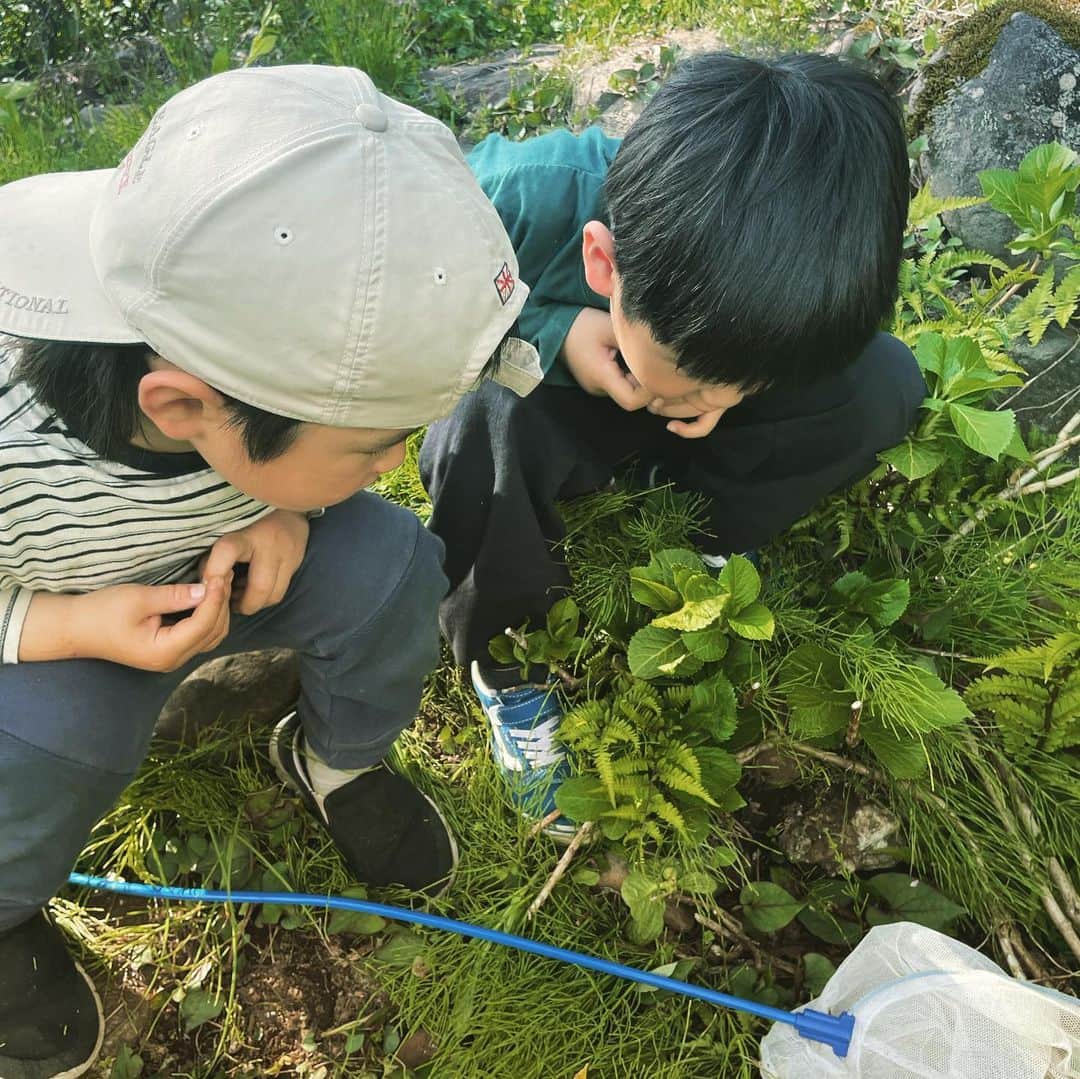 吉村民さんのインスタグラム写真 - (吉村民Instagram)「虫探しに夢中🐞」5月3日 14時55分 - yoshimuratami
